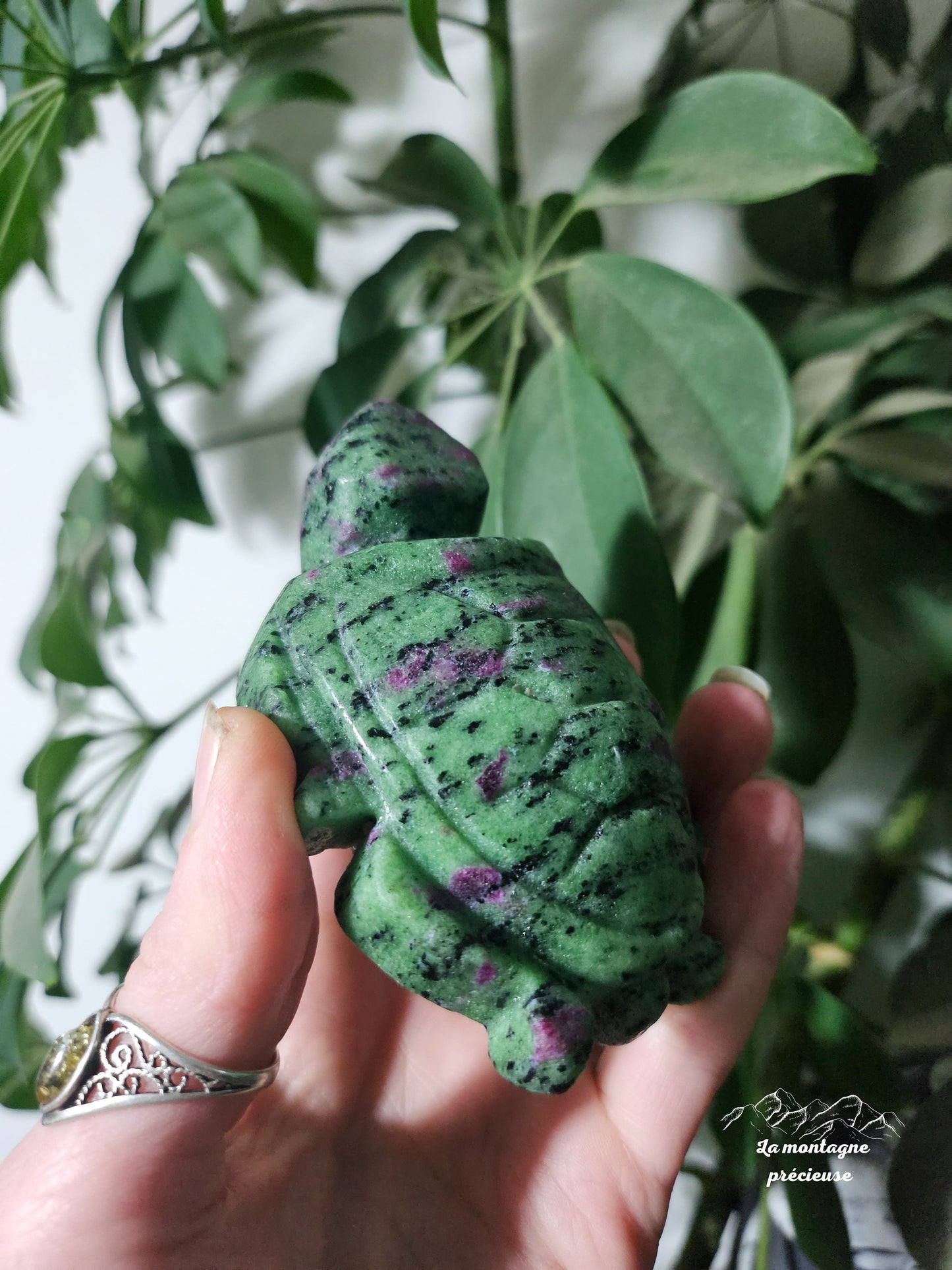 Tortue en Rubis Zoïsite