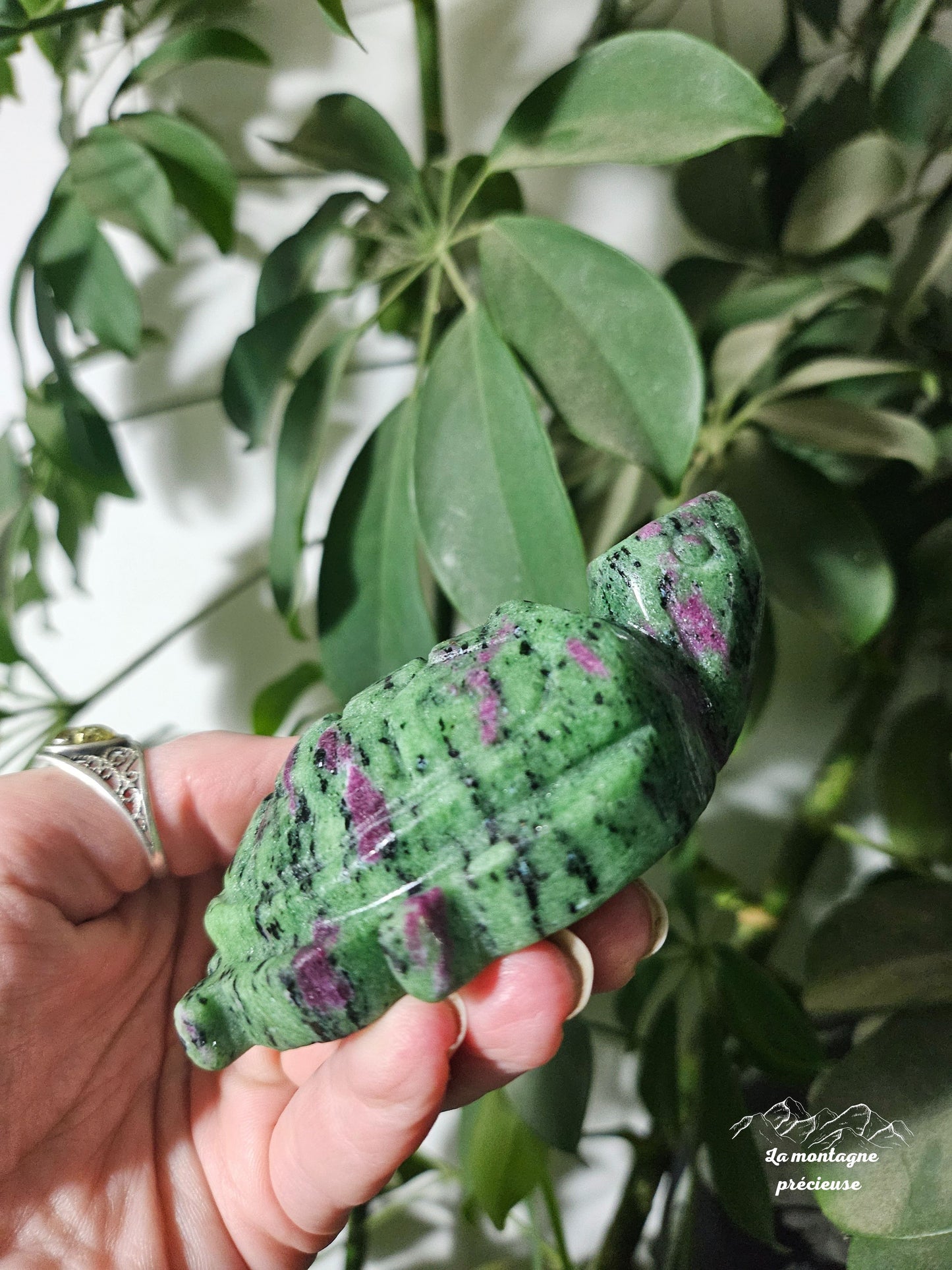 Tortue en Rubis Zoïsite