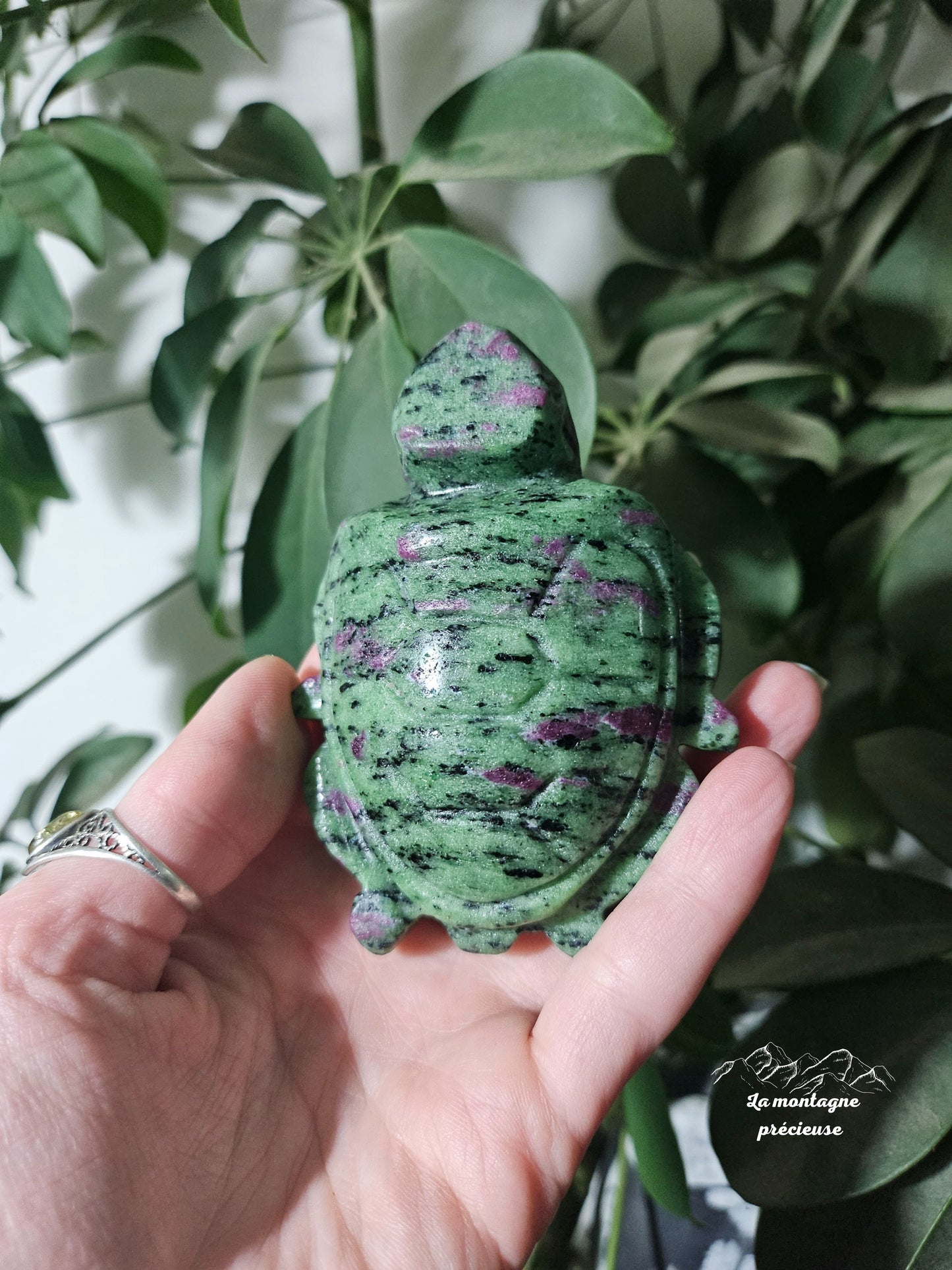 Tortue en Rubis Zoïsite
