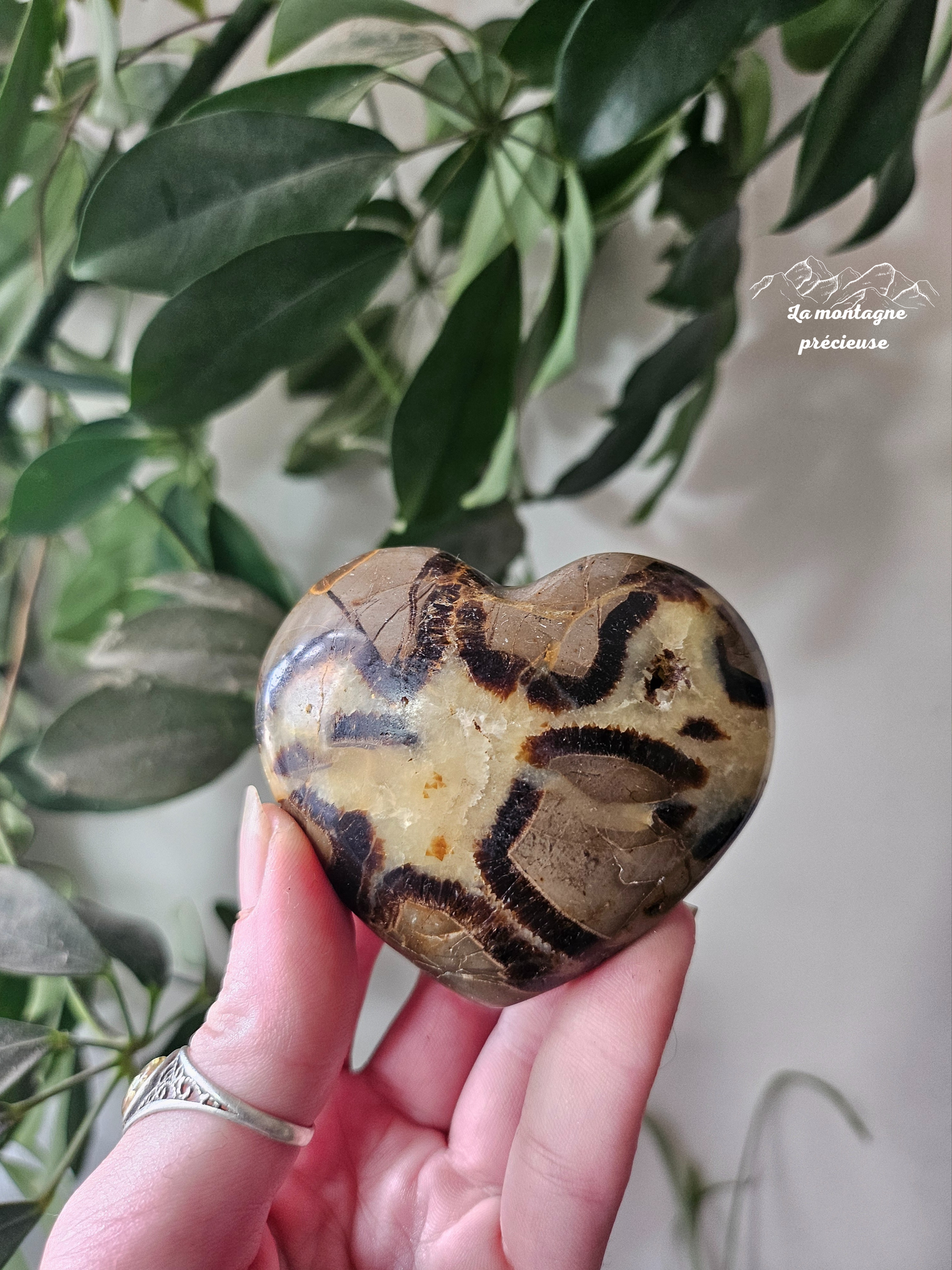 Cœur en septaria