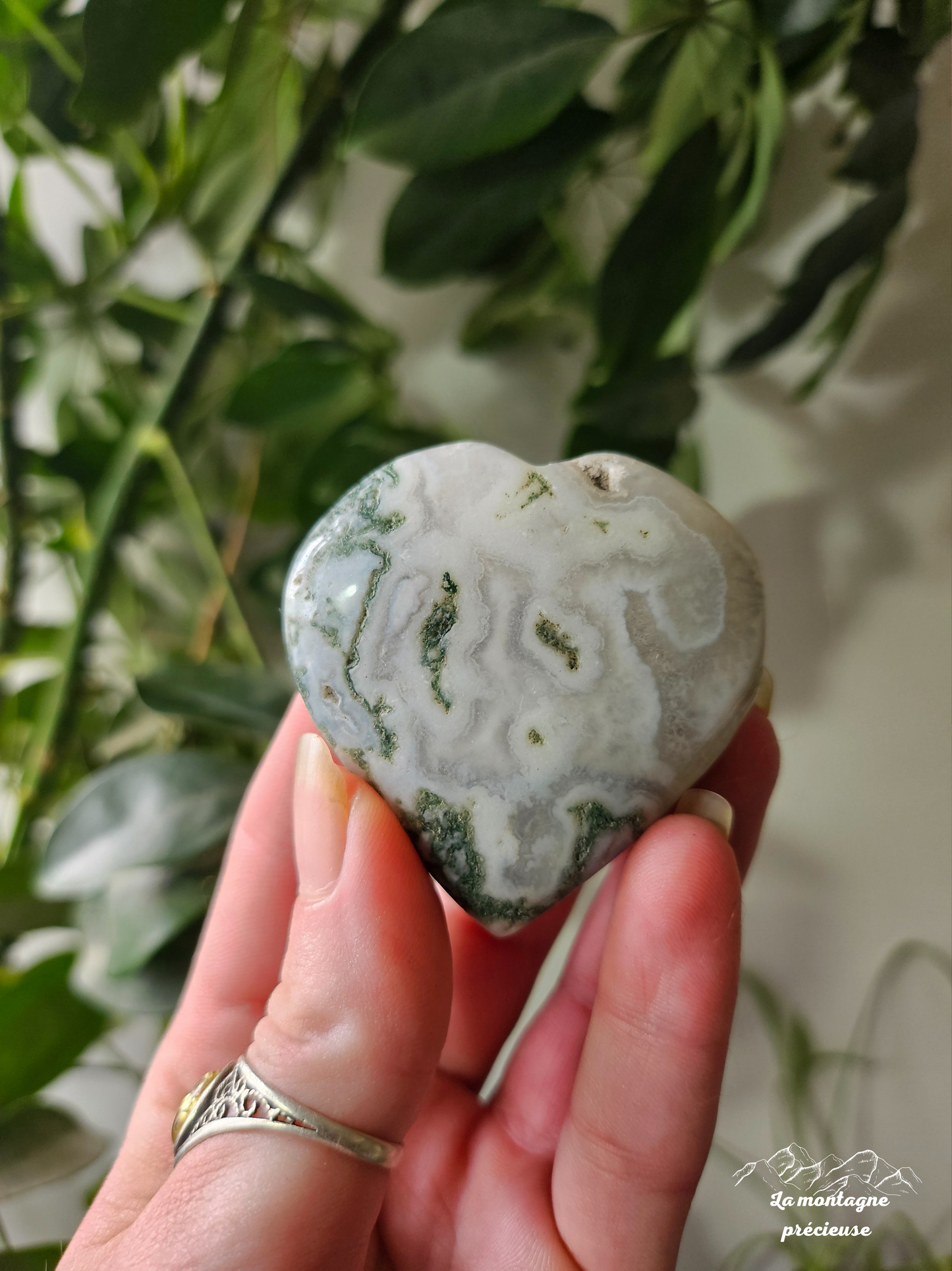 Cœur en agate mousse