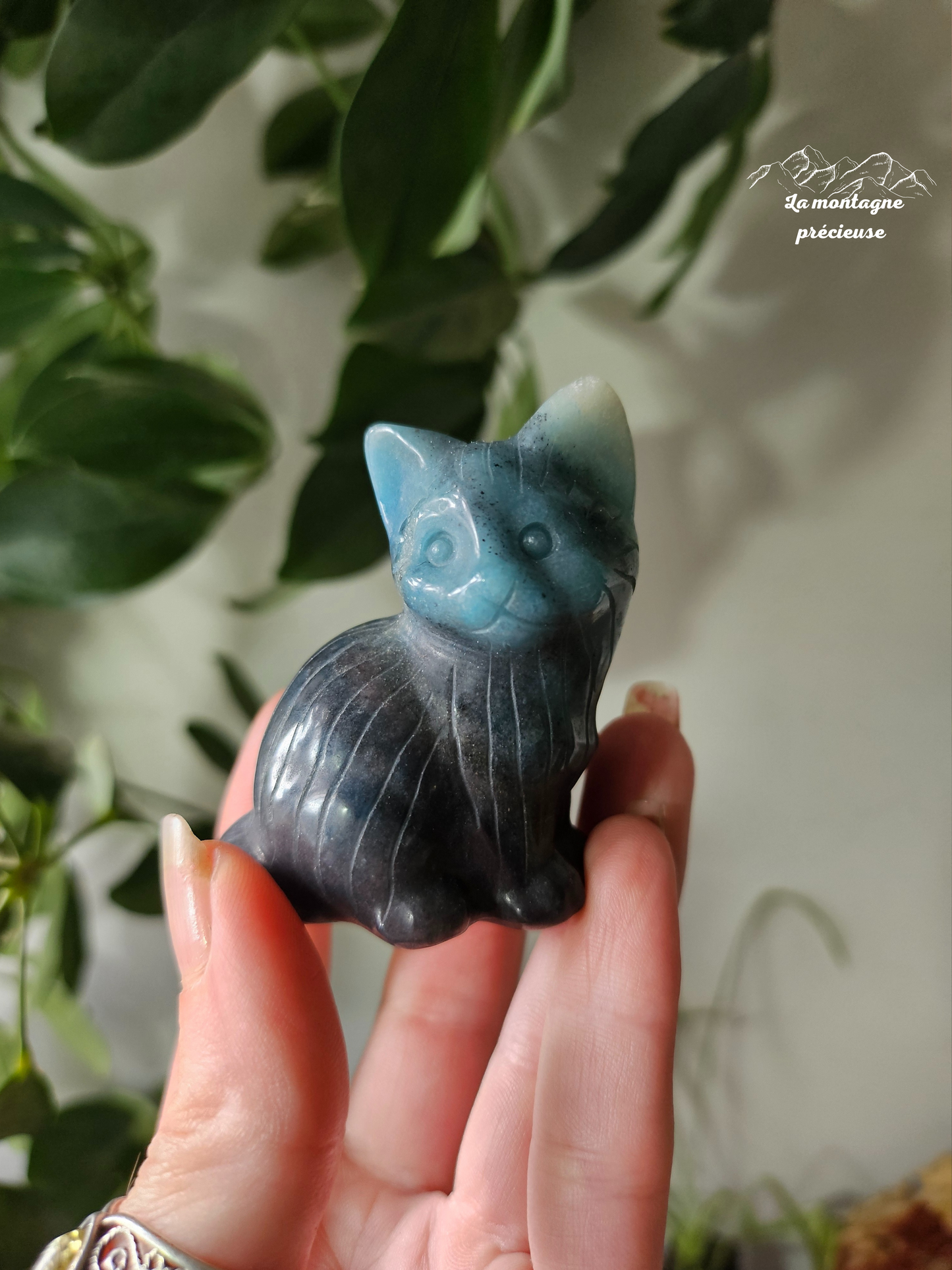 Chat en troleite