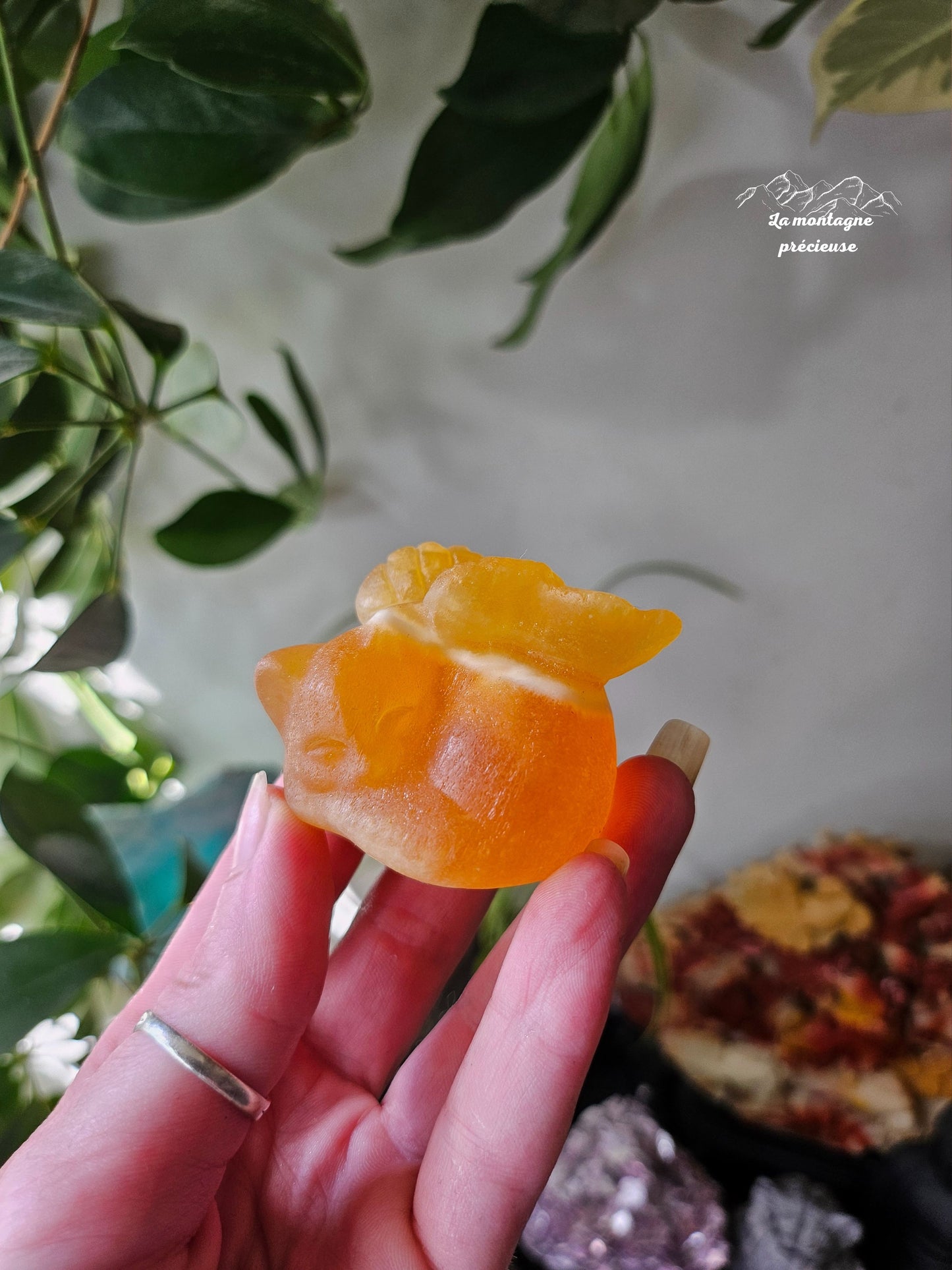 Chat ange en calcite orange