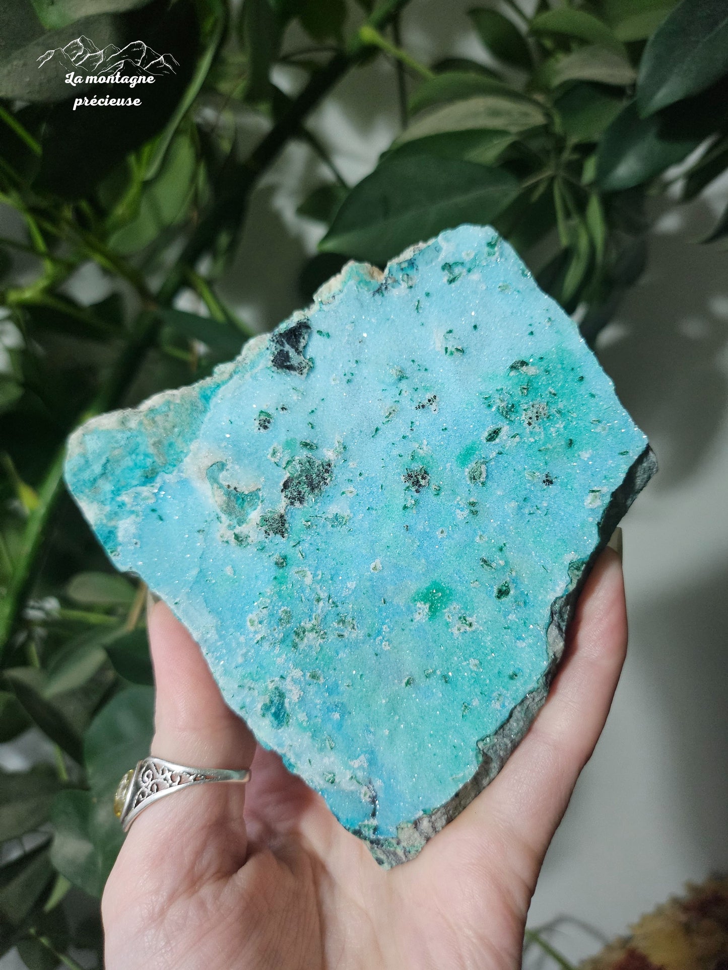 Chrysocolle brute