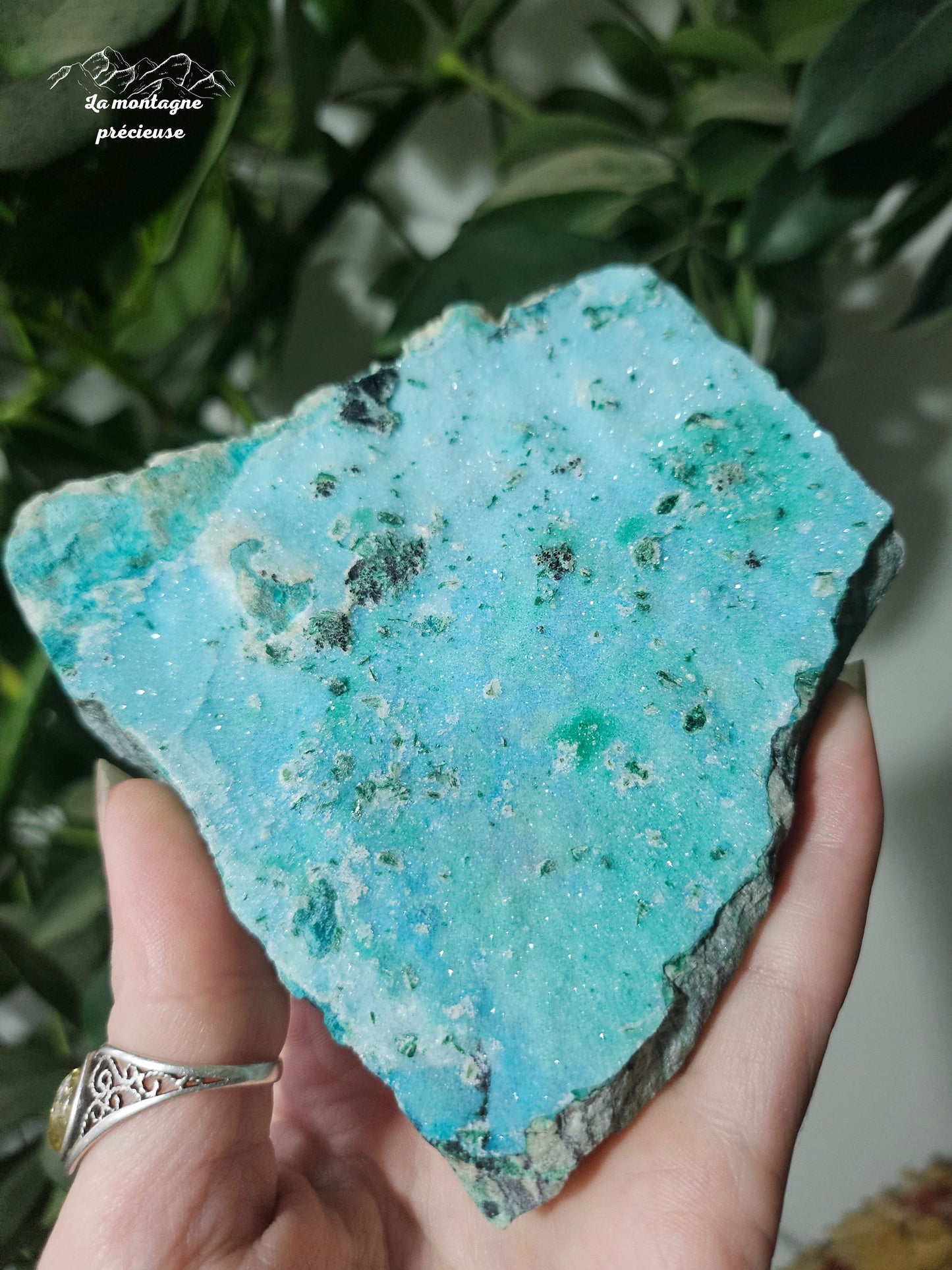 Chrysocolle brute