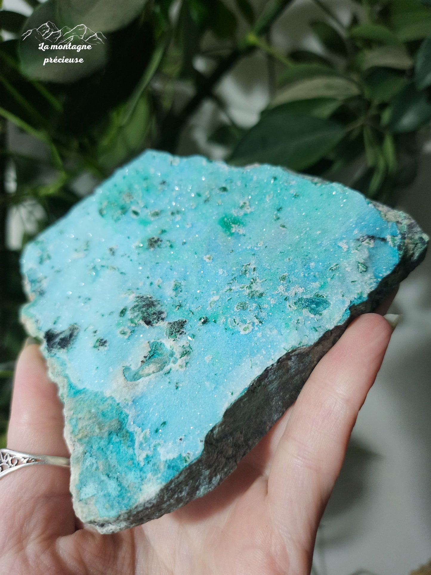 Chrysocolle brute