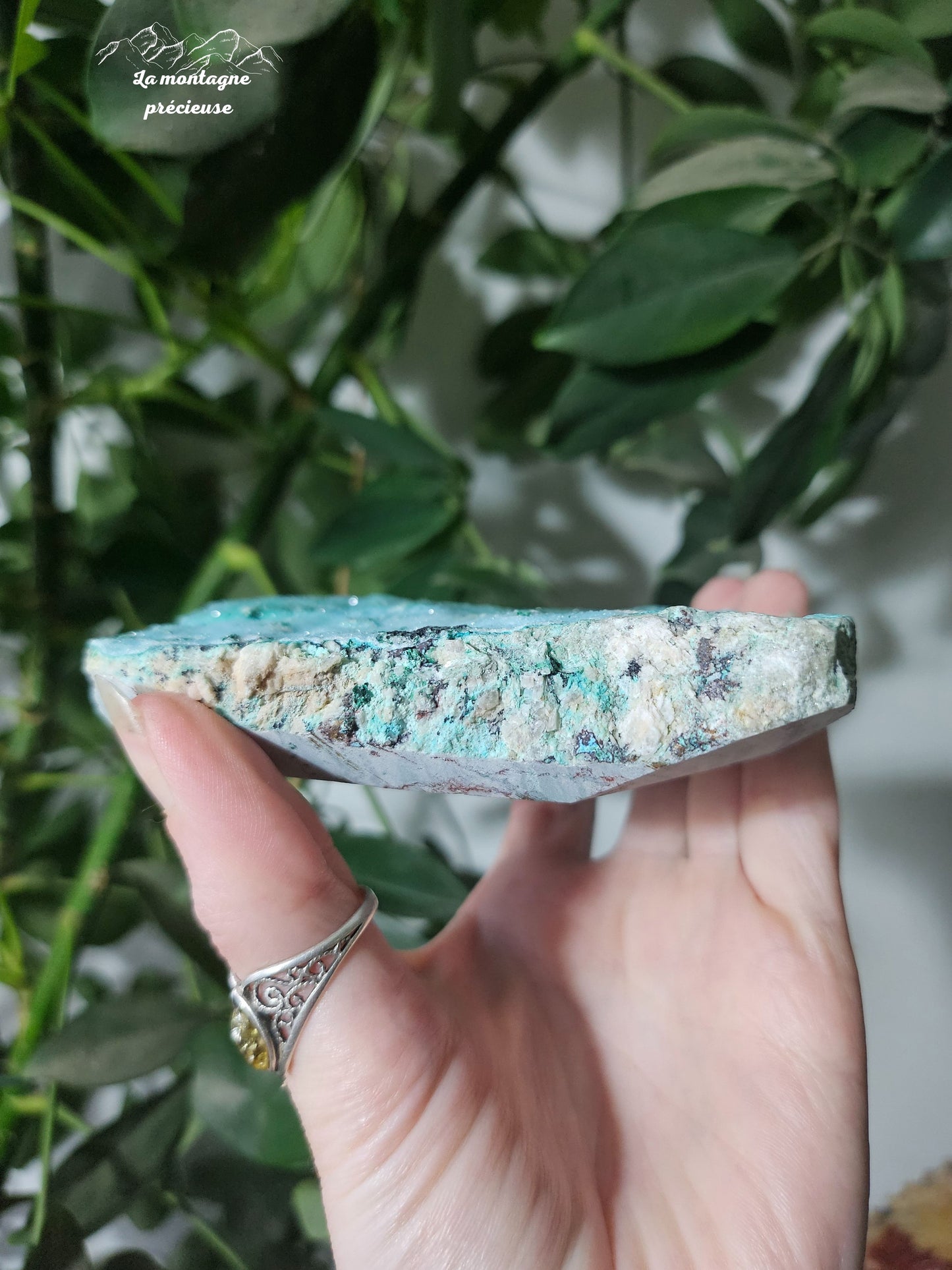 Chrysocolle brute