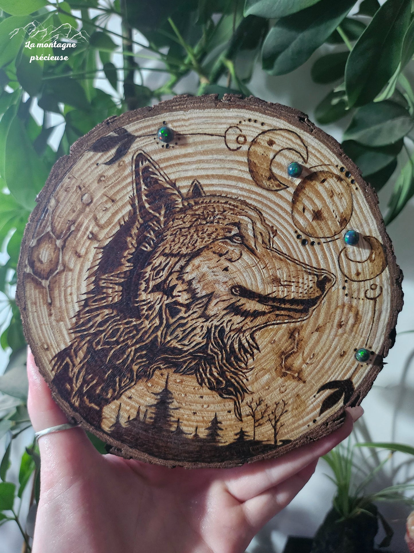 Constellation du loup