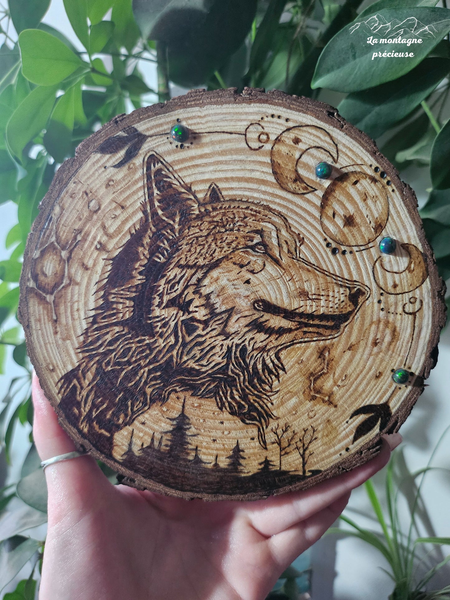 Constellation du loup