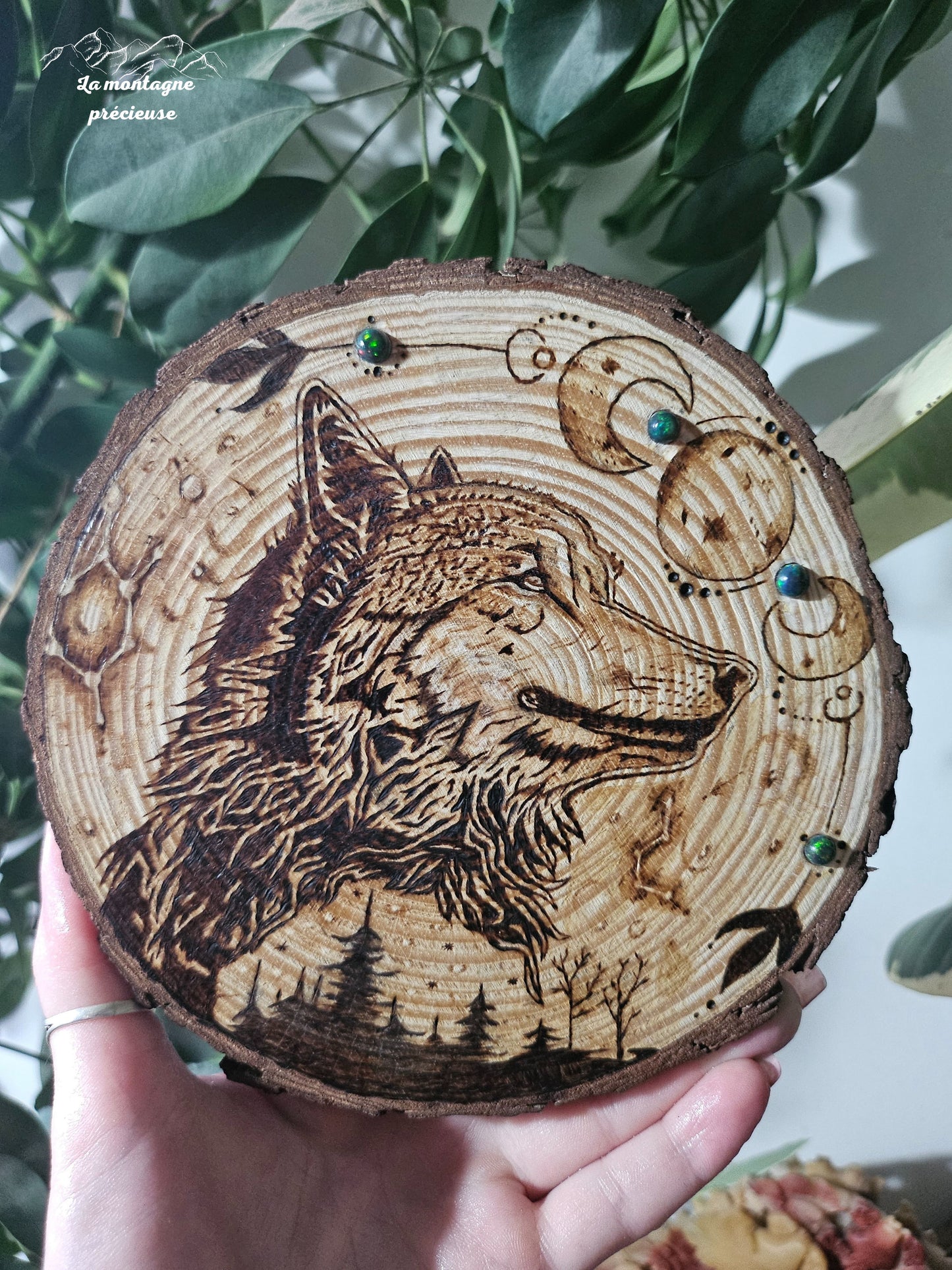 Constellation du loup