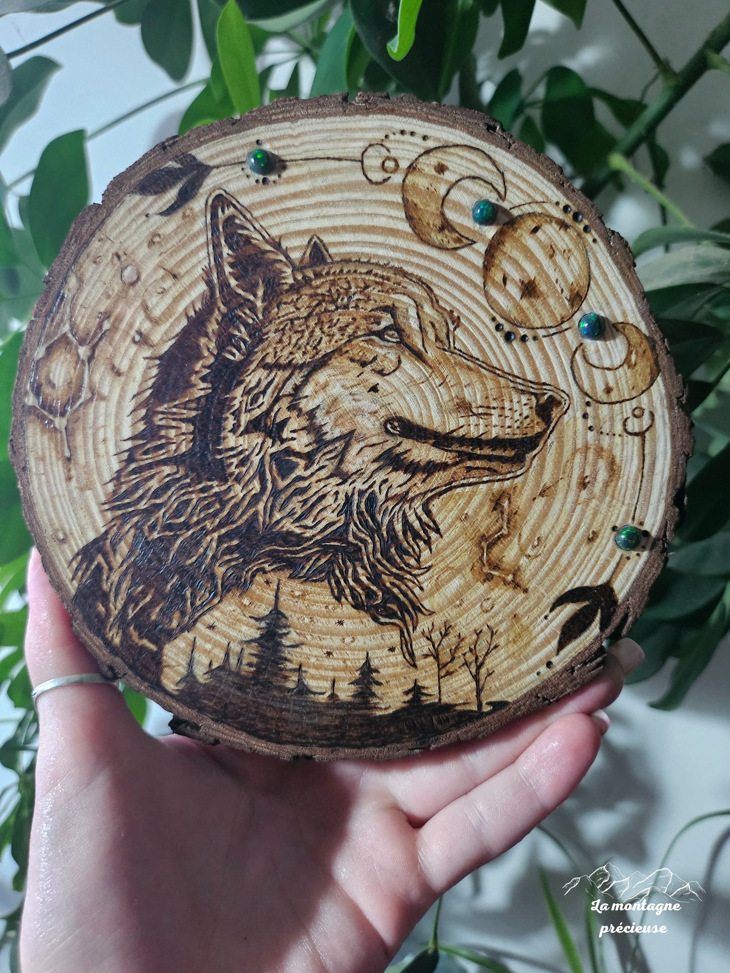 Constellation du loup