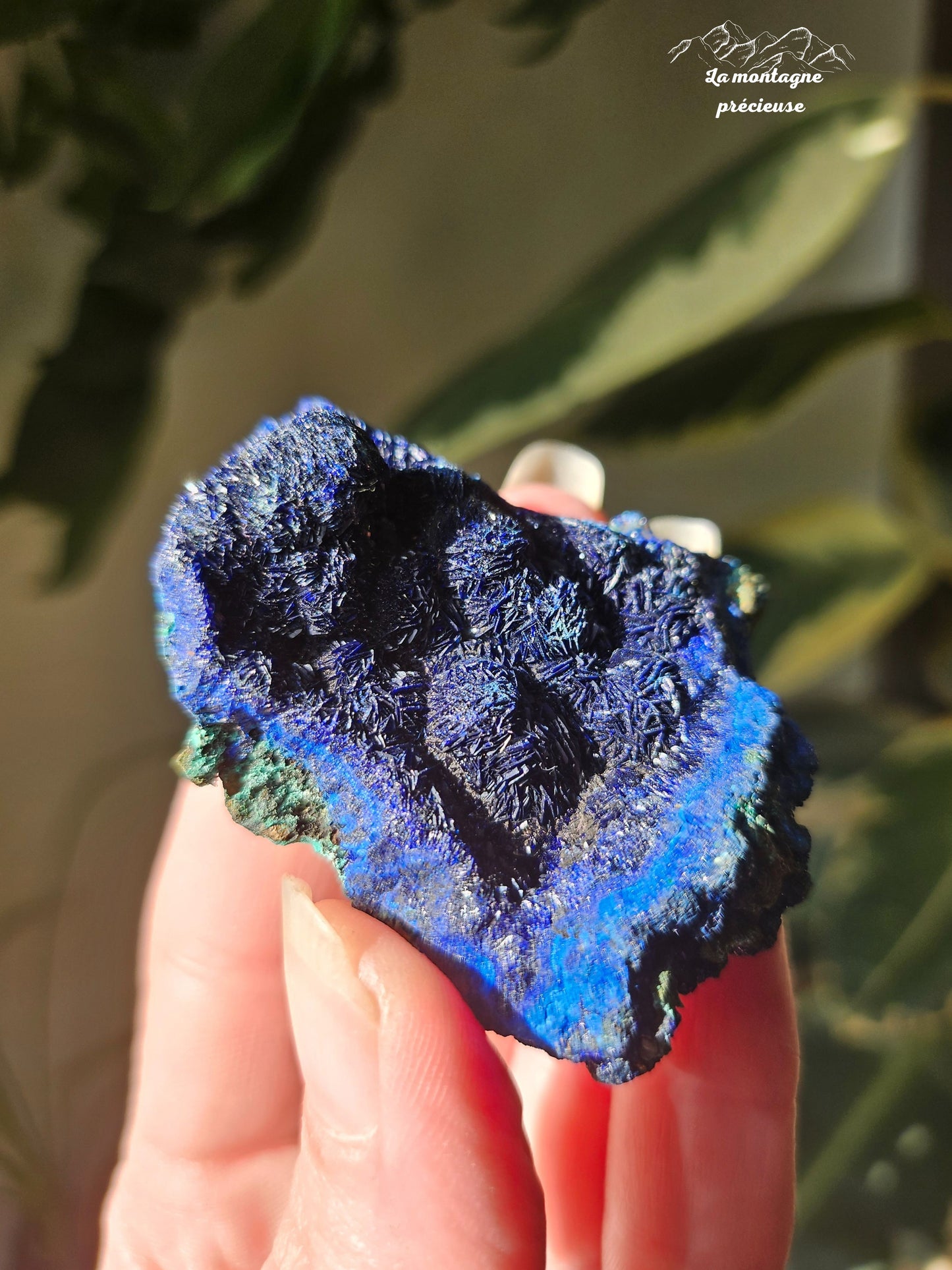 Azurite brute