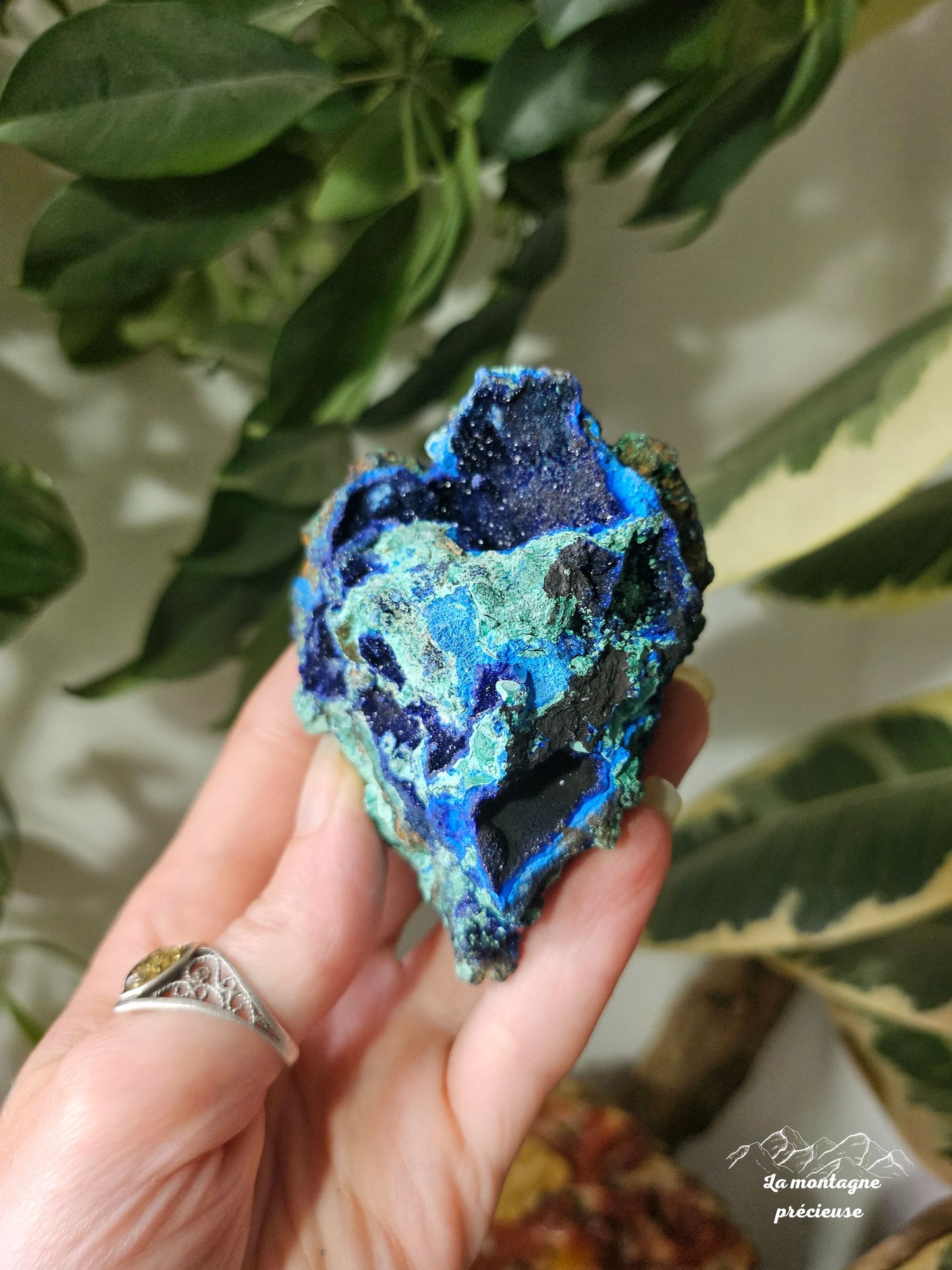 Azurite Malachite chrysocolle brute