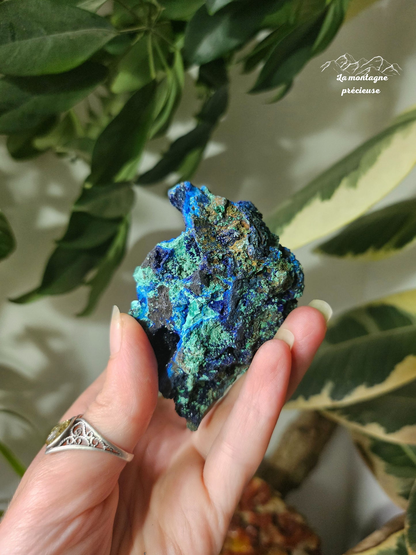Azurite Malachite chrysocolle brute