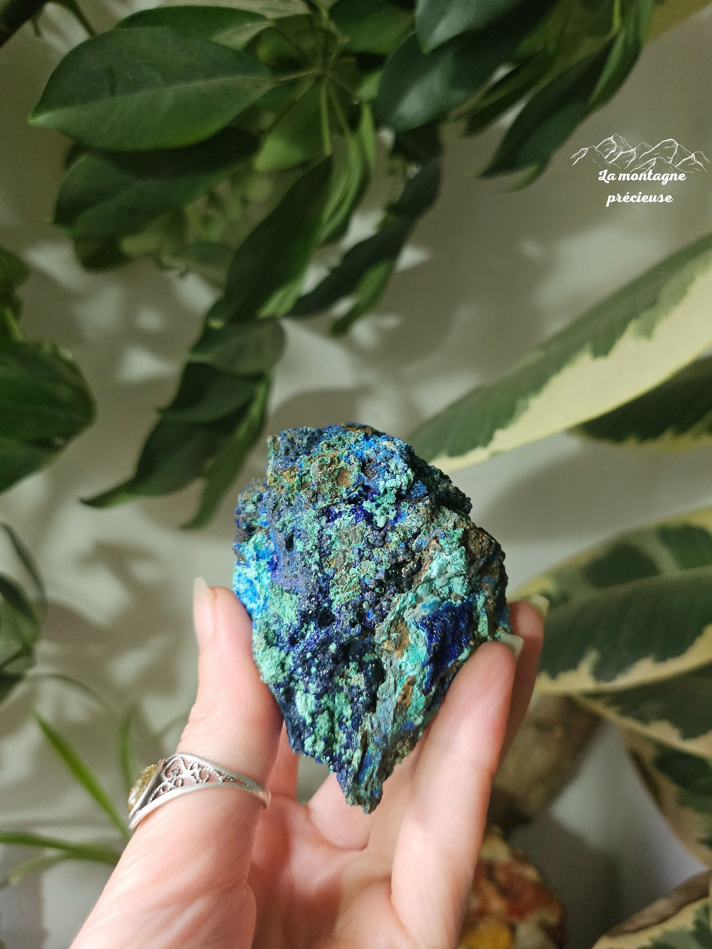 Azurite Malachite chrysocolle brute
