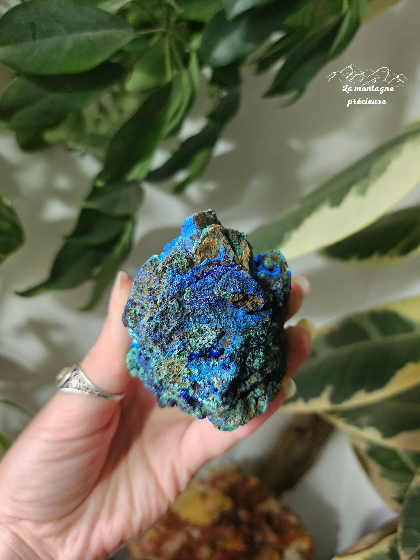 Azurite Malachite chrysocolle brute