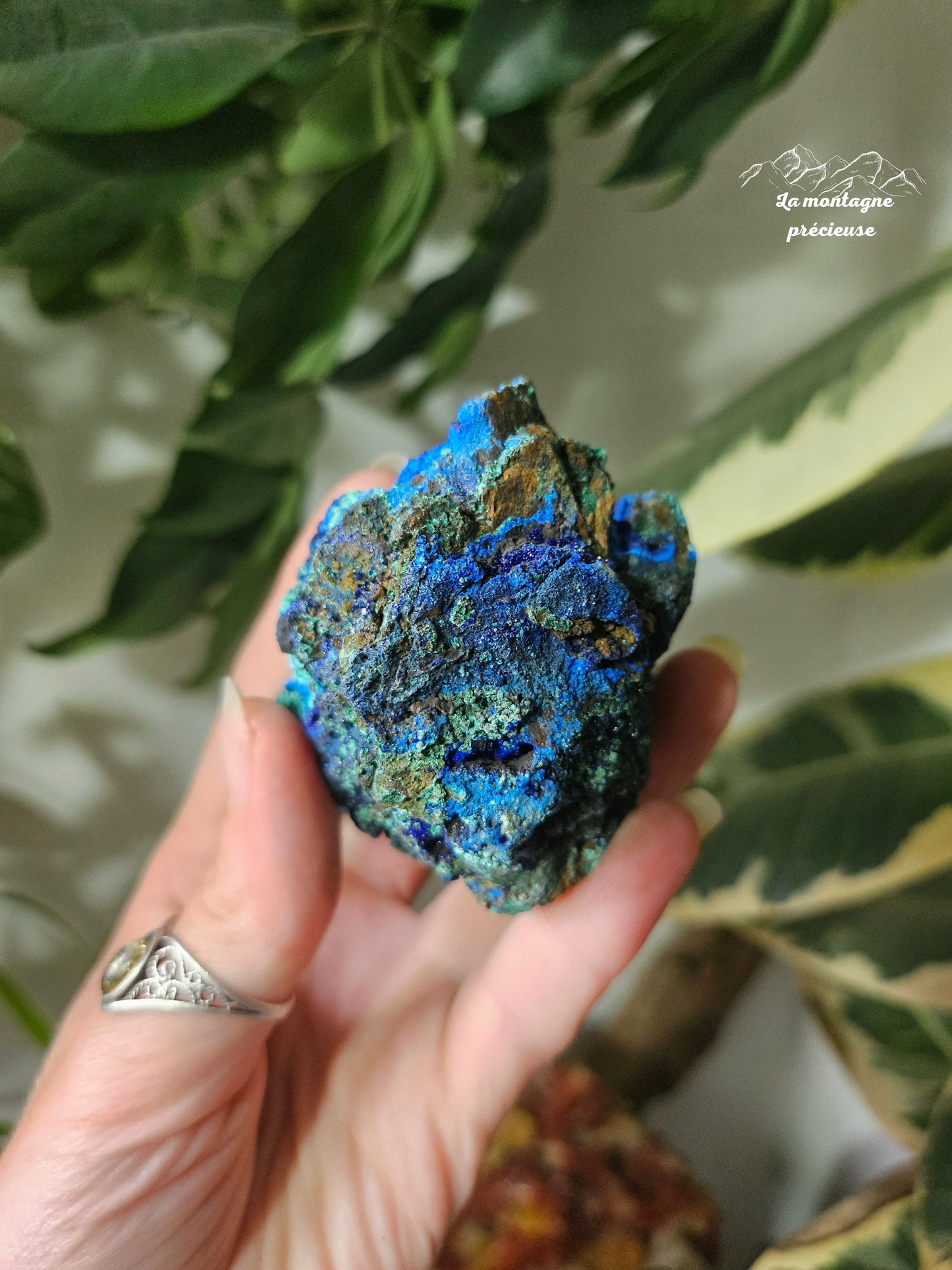 Azurite Malachite chrysocolle brute