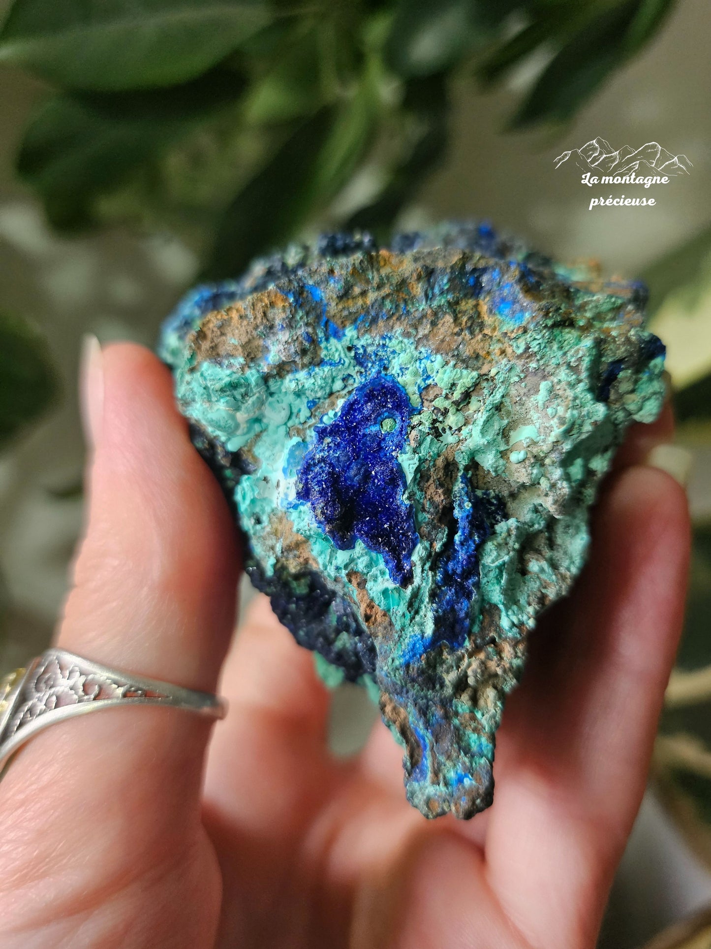 Azurite Malachite chrysocolle brute