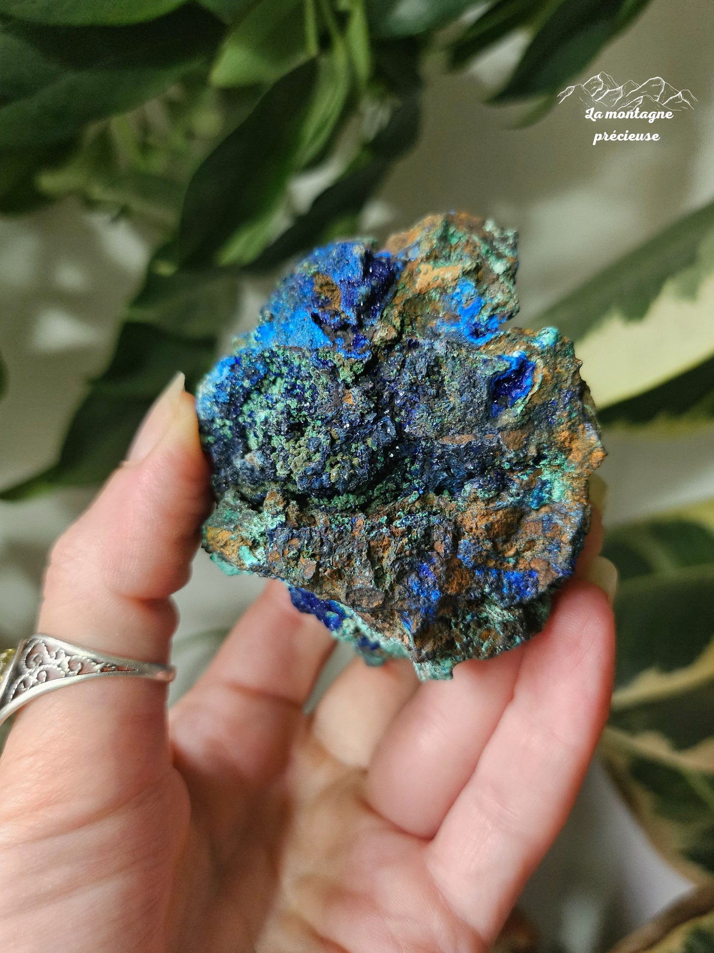 Azurite Malachite chrysocolle brute