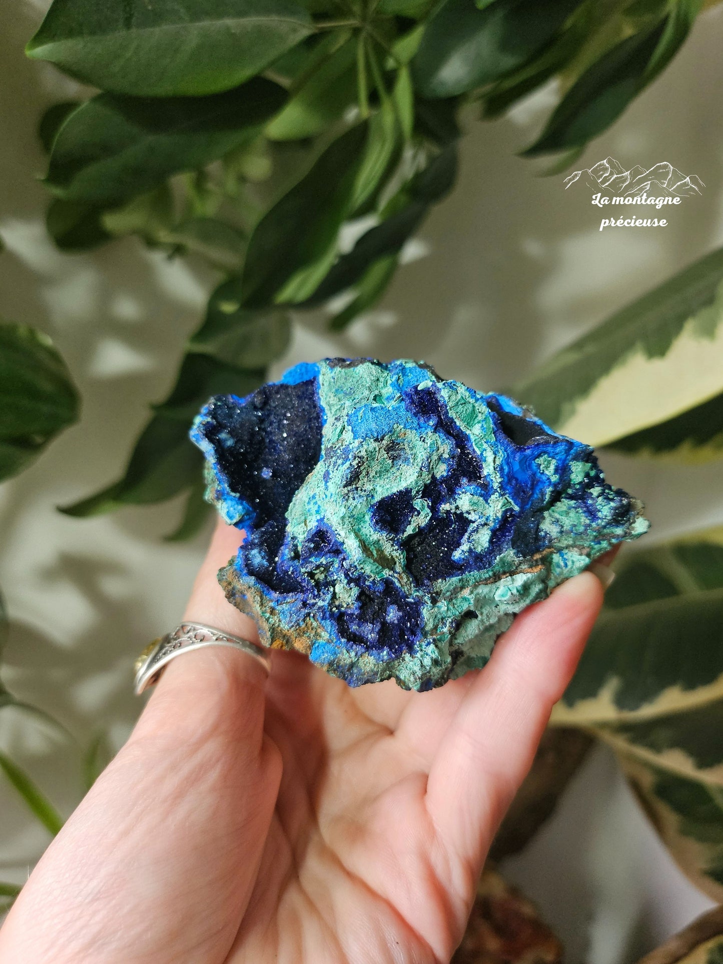 Azurite Malachite chrysocolle brute