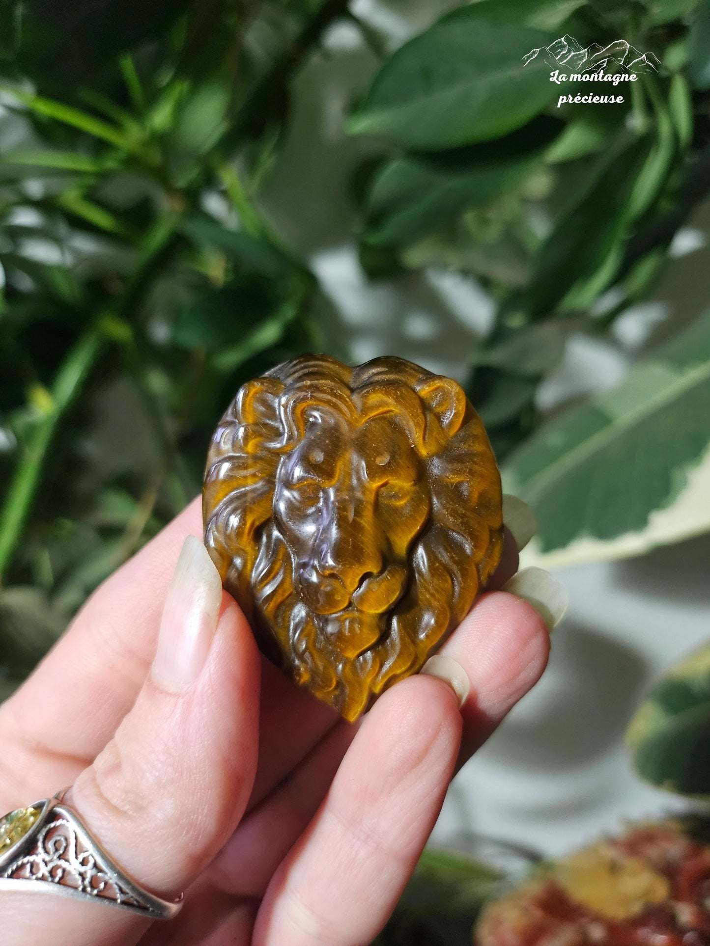 Tête de lion en œil de tigre