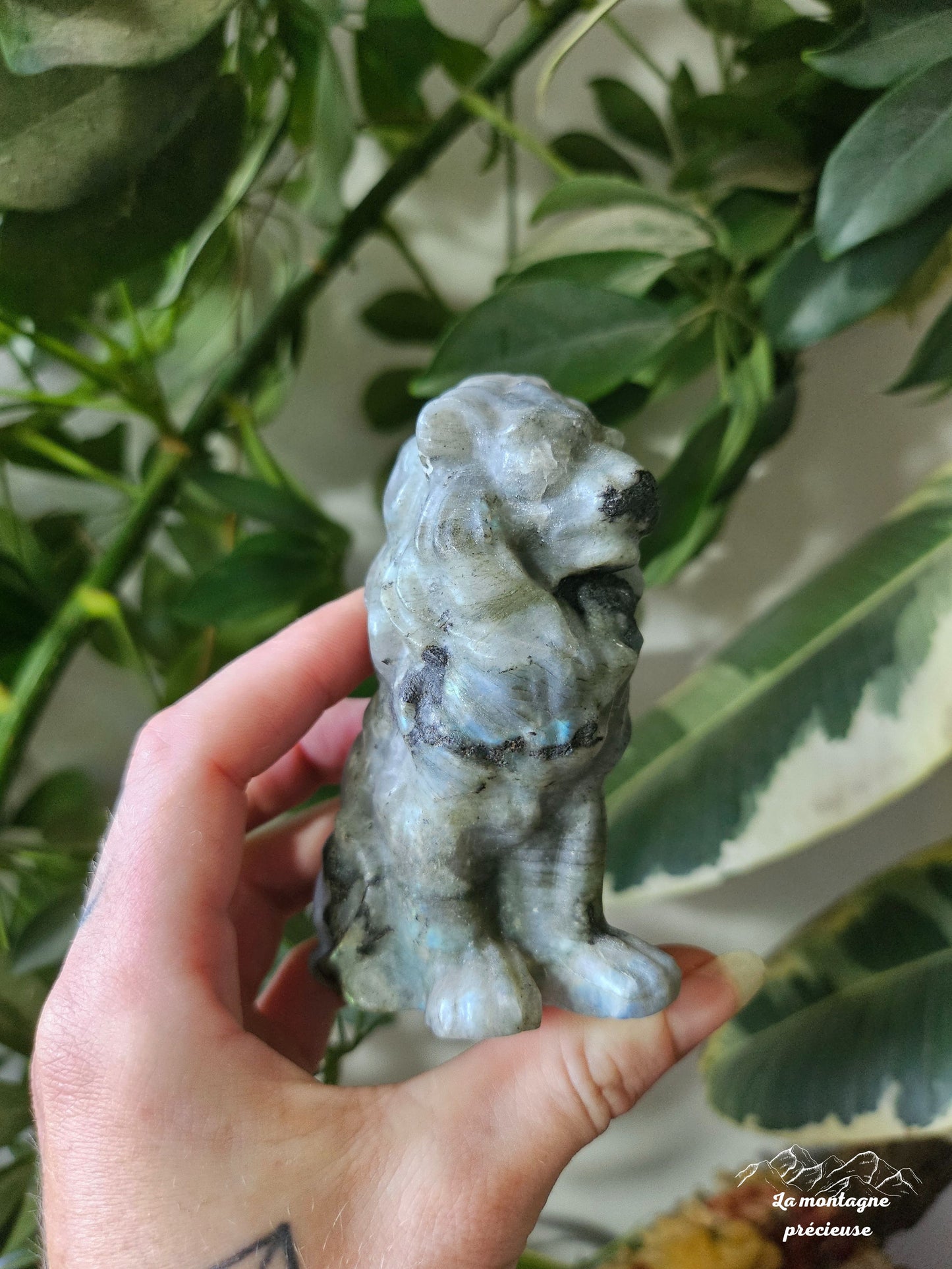 Lion en labradorite