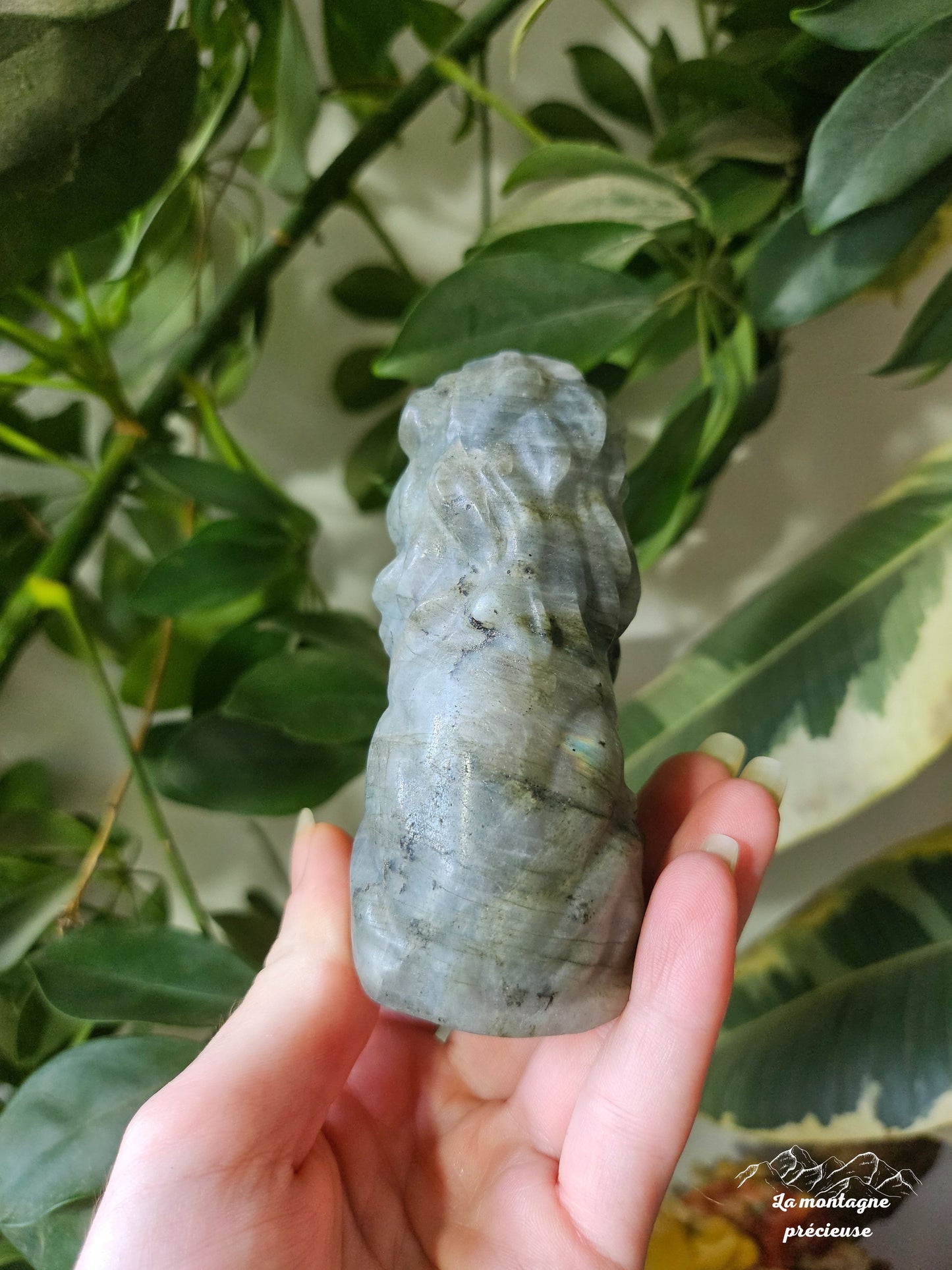 Lion en labradorite