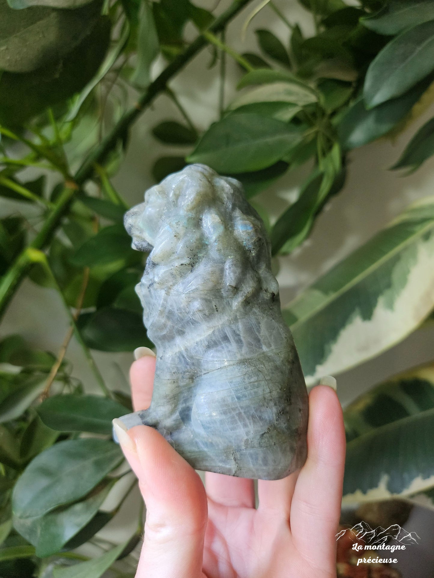 Lion en labradorite