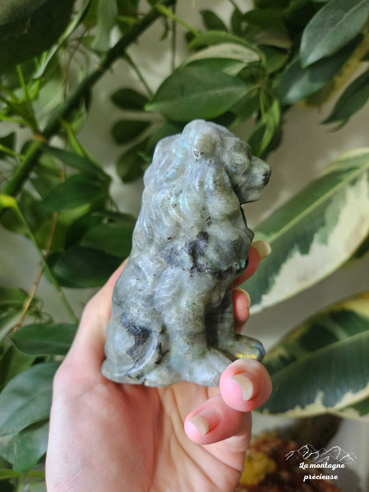 Lion en labradorite