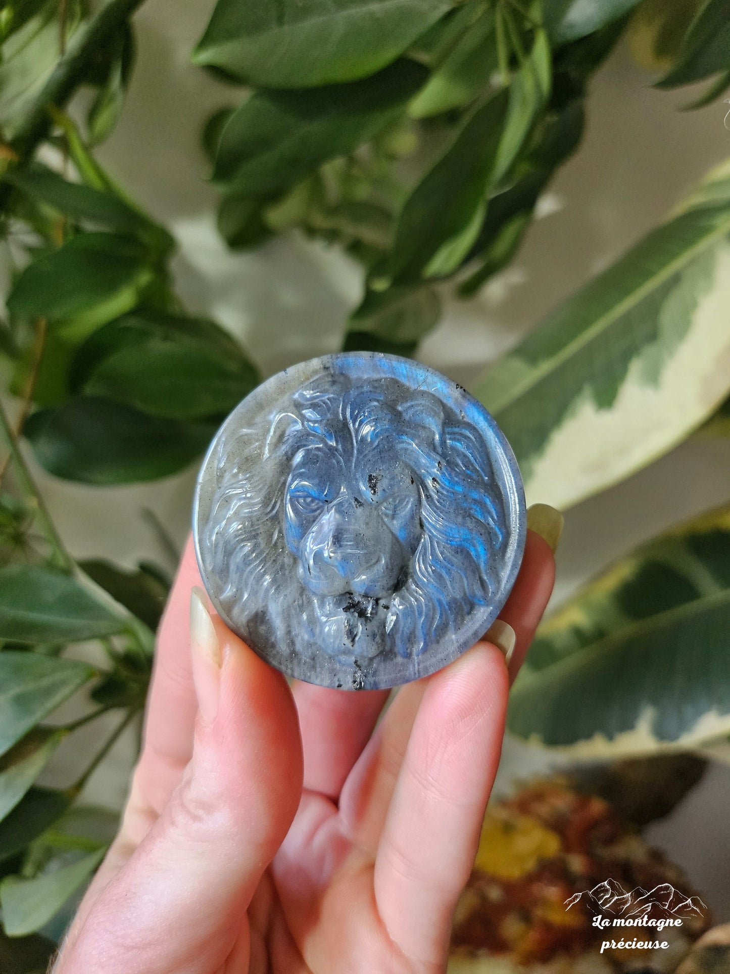 Amulette tête de lion en labradorite