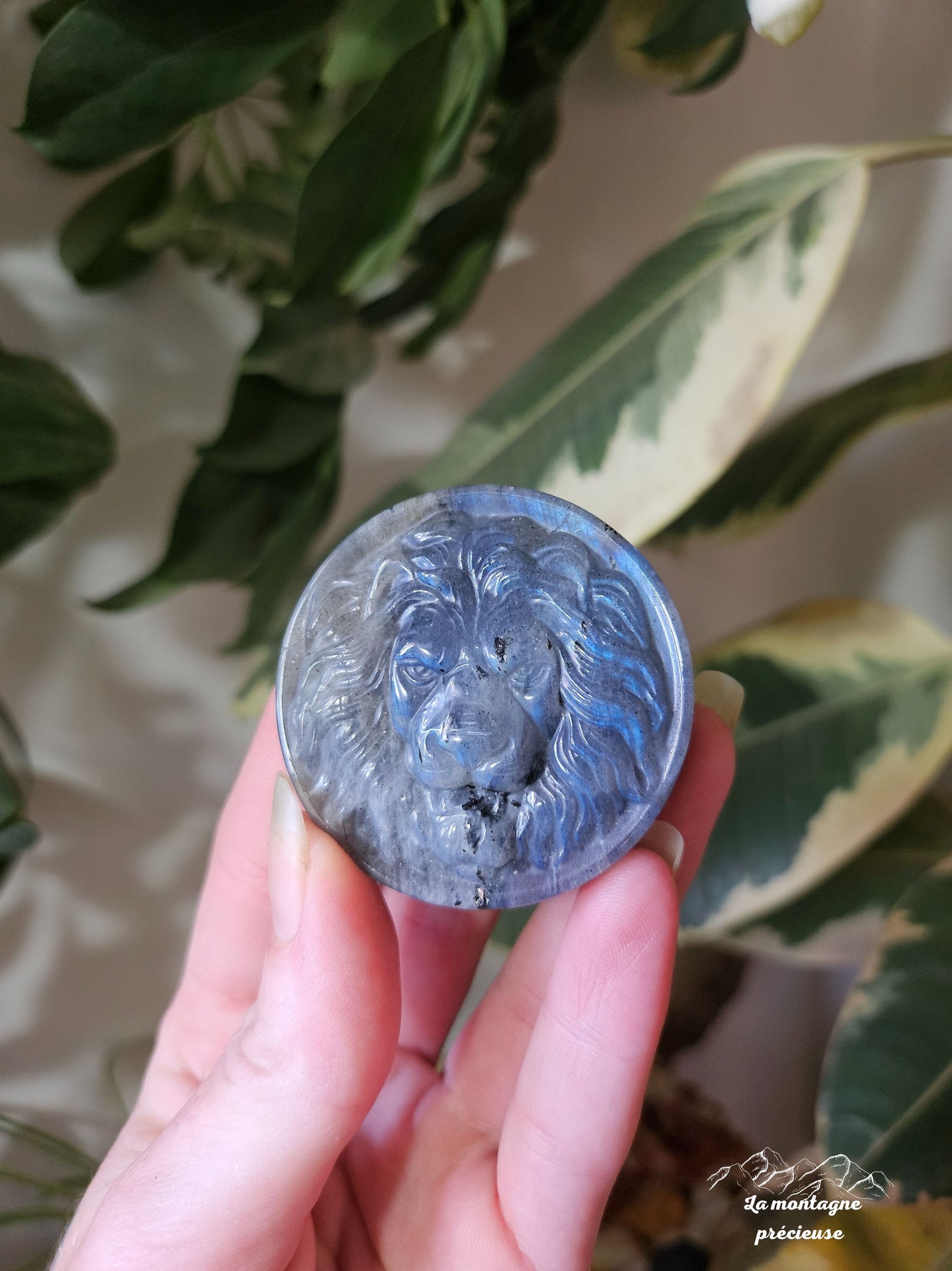 Amulette tête de lion en labradorite