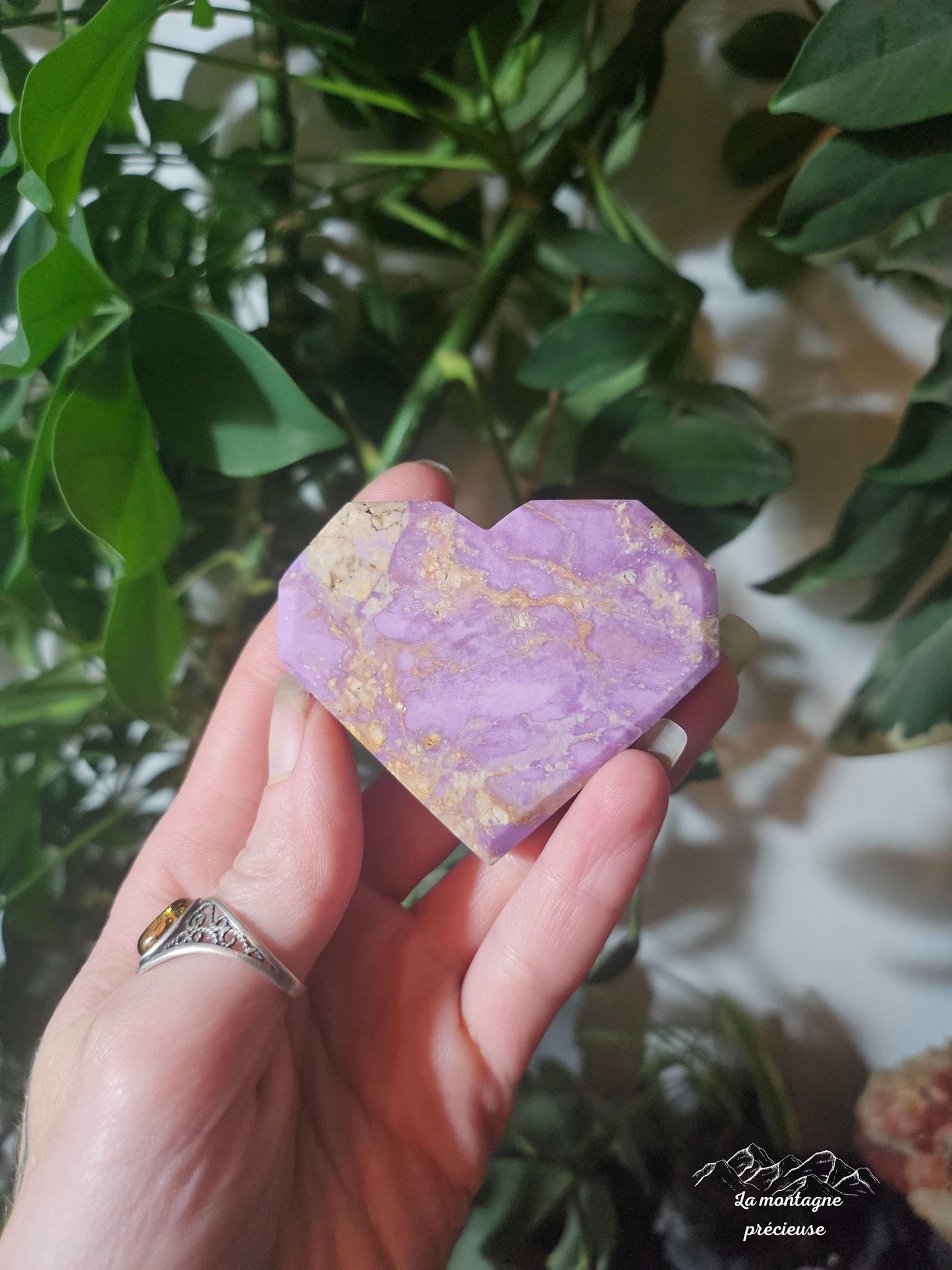 Coeur en phosphosidérite