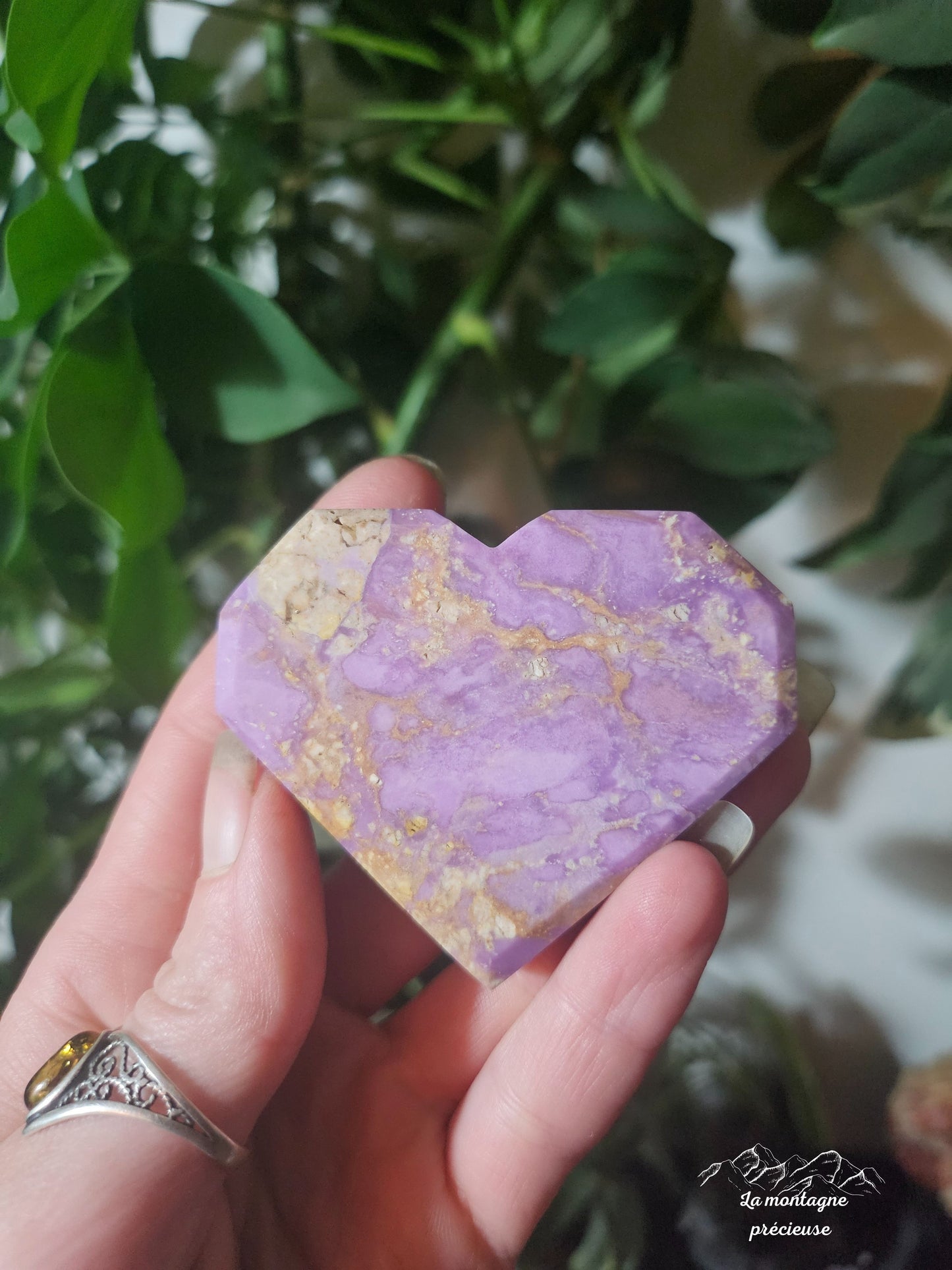 Coeur en phosphosidérite