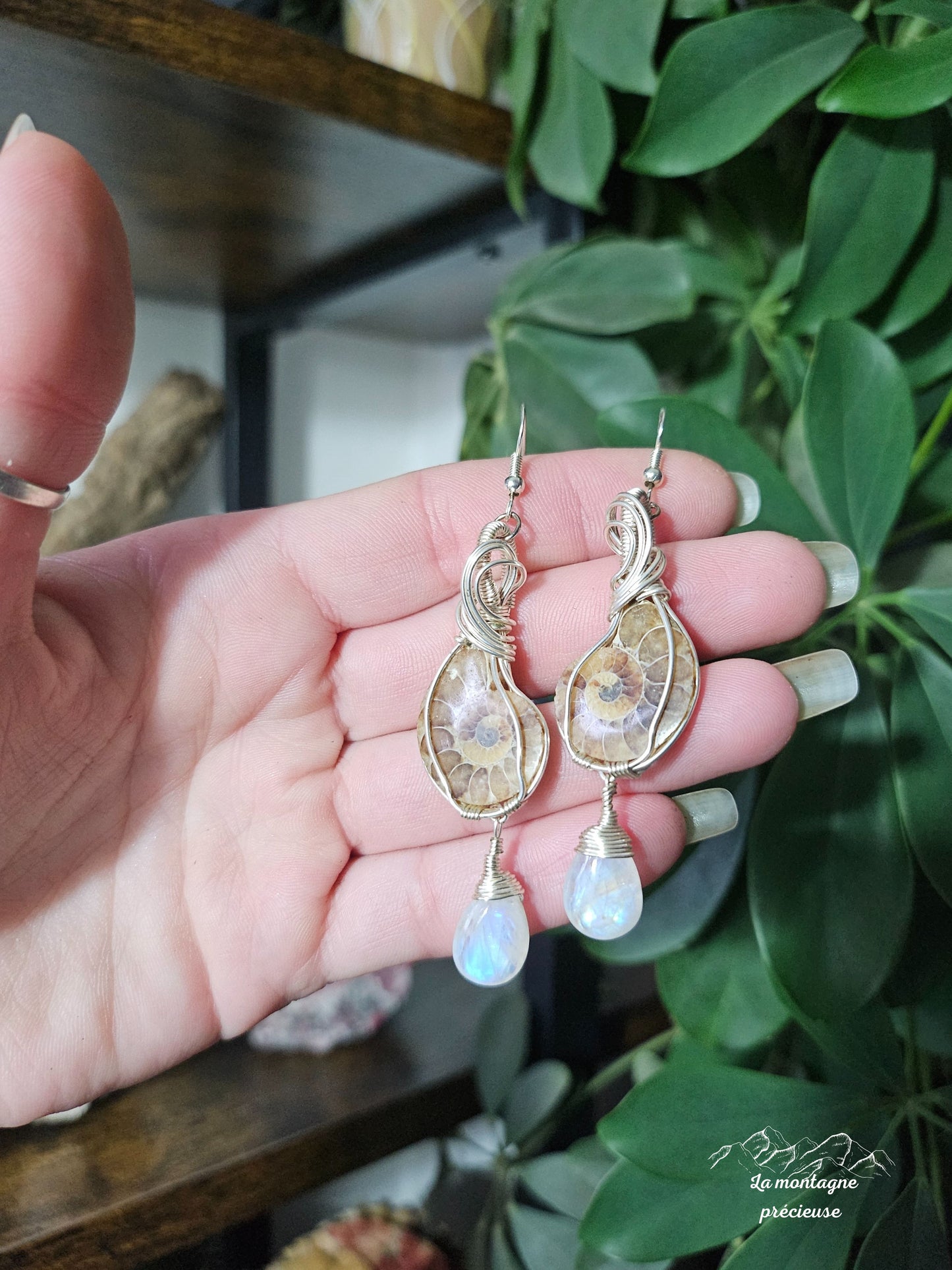 Boucles d'oreilles en ammonite et pierre de lune