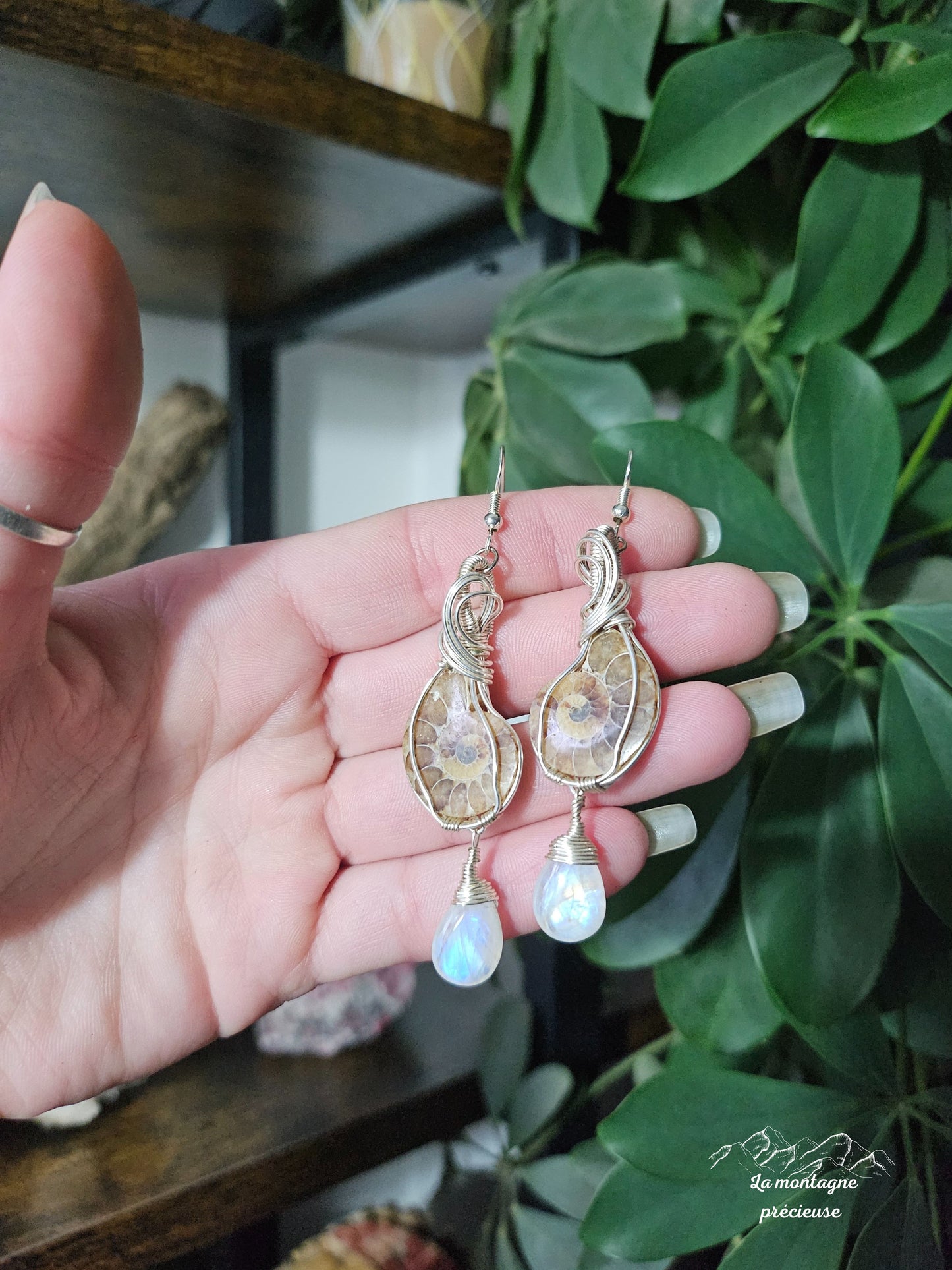 Boucles d'oreilles en ammonite et pierre de lune