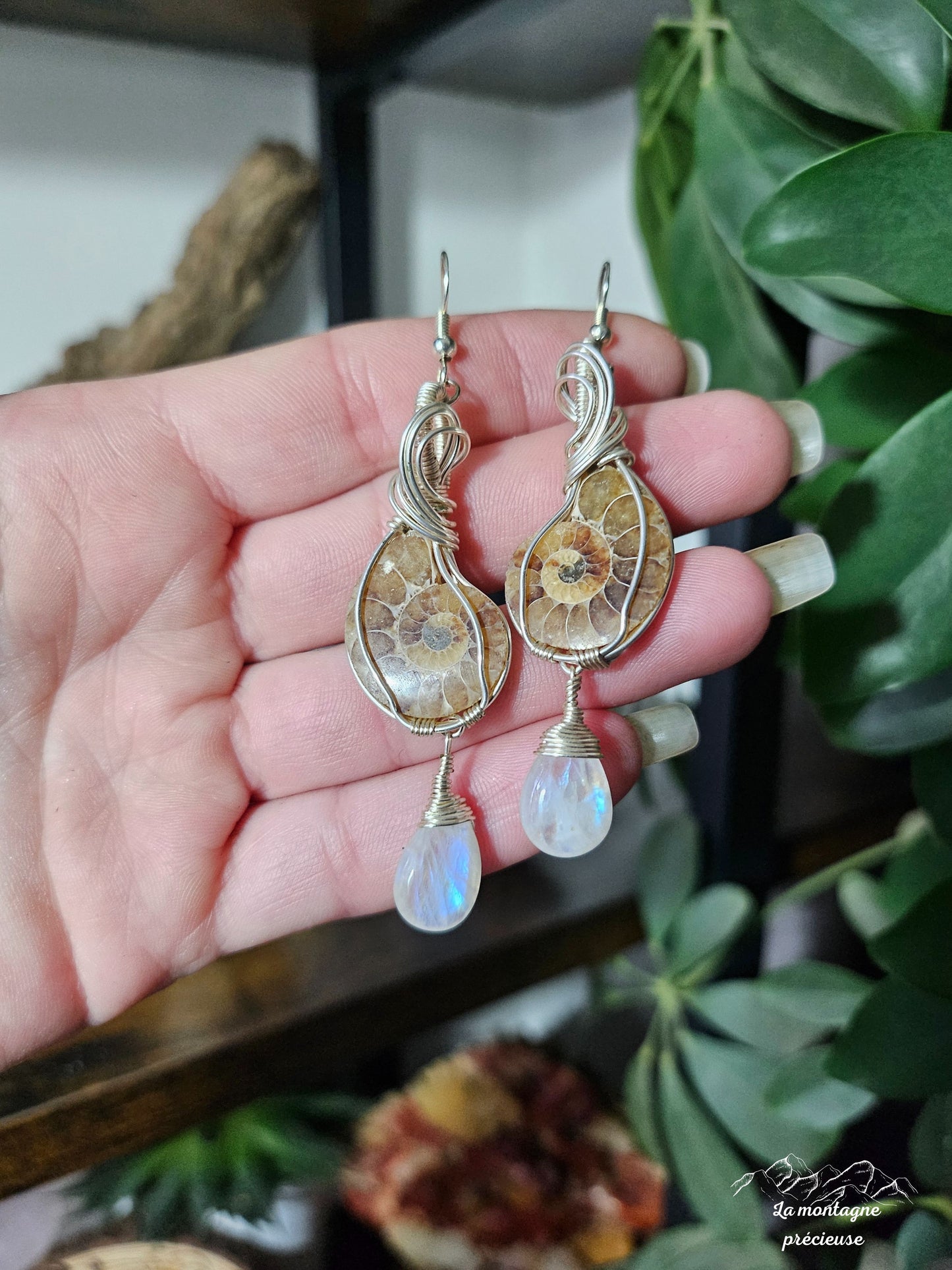 Boucles d'oreilles en ammonite et pierre de lune
