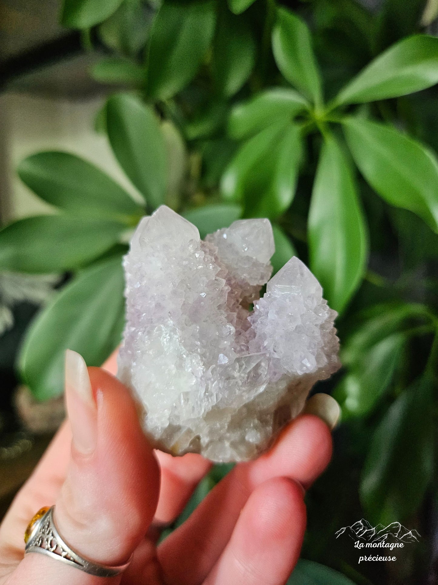 Spirit quartz ou Améthyste cactus