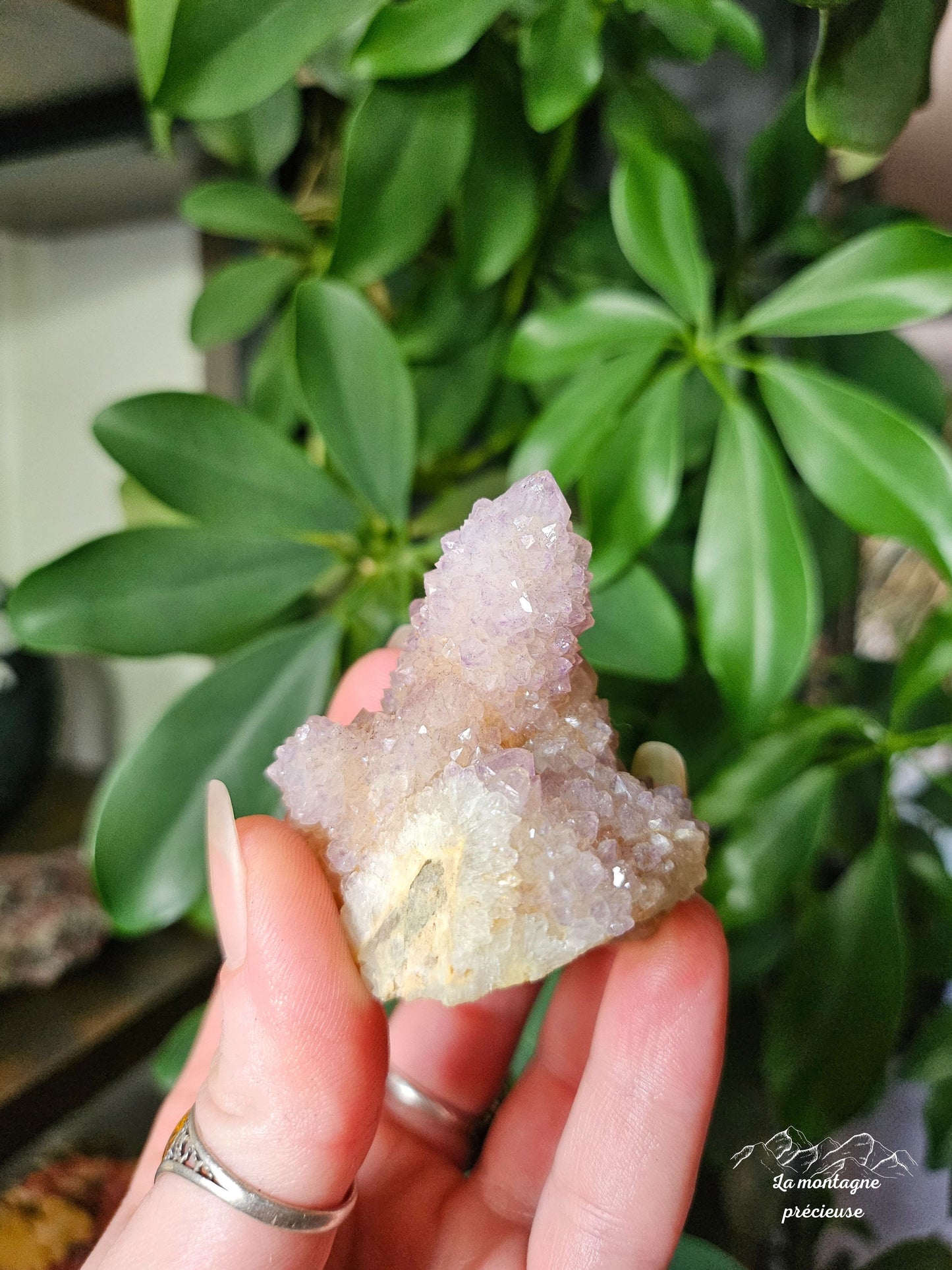 Spirit quartz ou Améthyste cactus