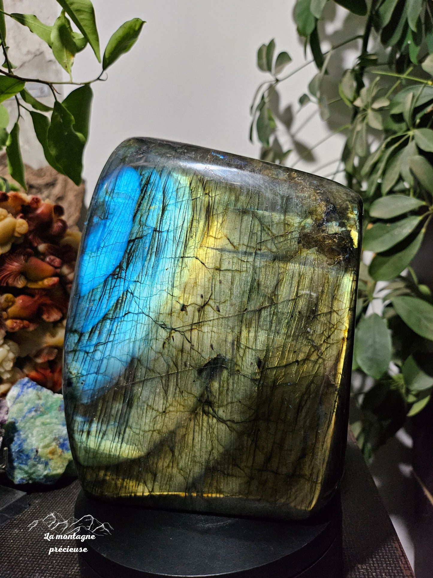 Bloc politique en labradorite bleue, verte, dorée