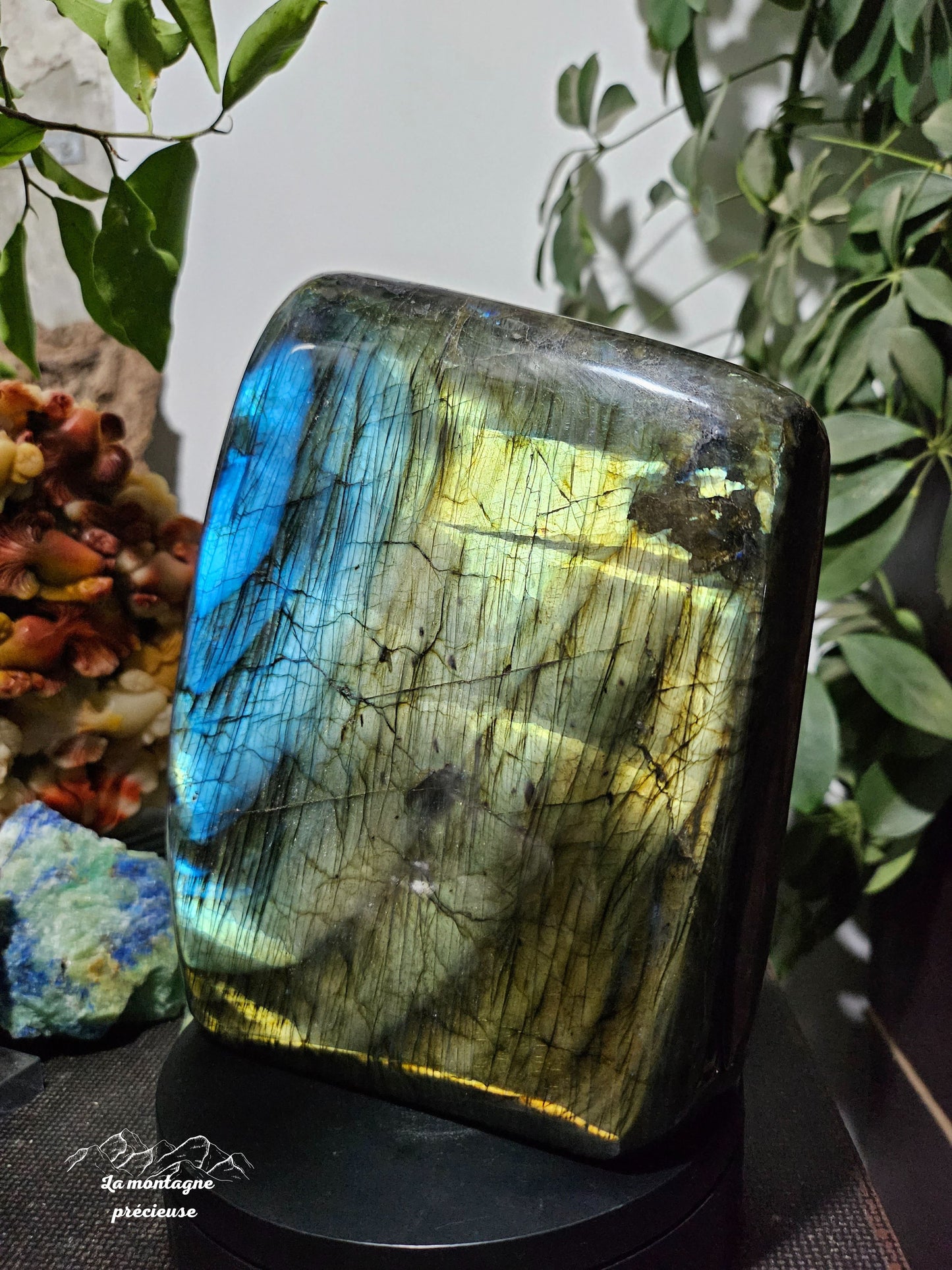 Bloc politique en labradorite bleue, verte, dorée