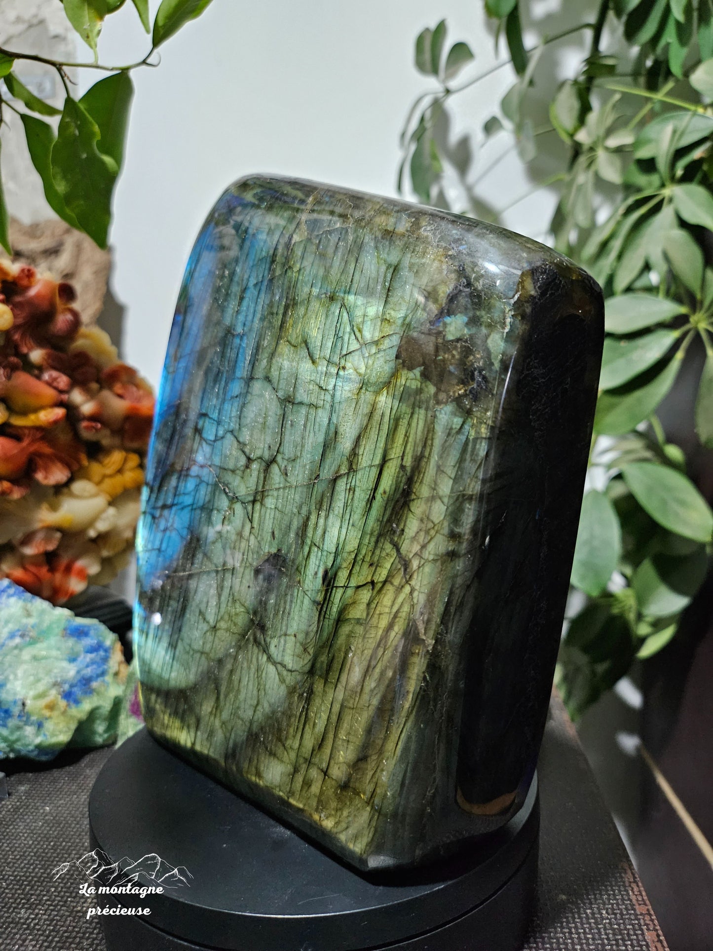 Bloc politique en labradorite bleue, verte, dorée