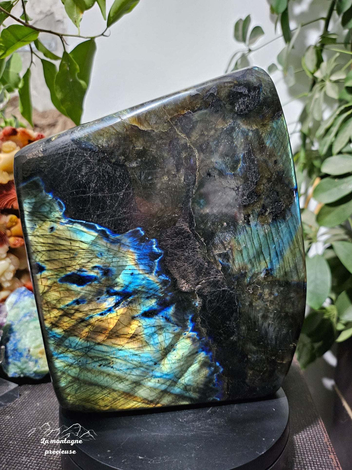 Bloc politique en labradorite bleue, verte, dorée