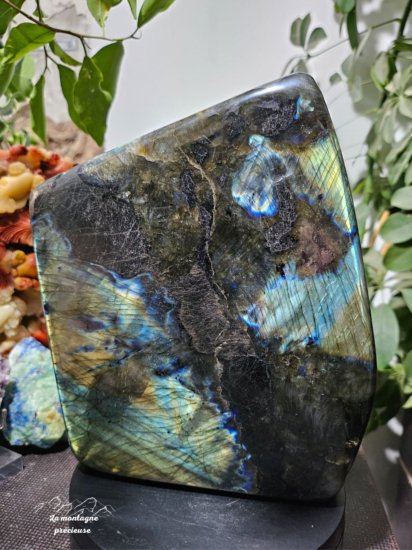 Bloc politique en labradorite bleue, verte, dorée