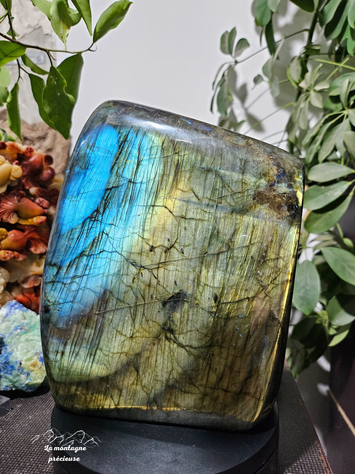 Bloc politique en labradorite bleue, verte, dorée