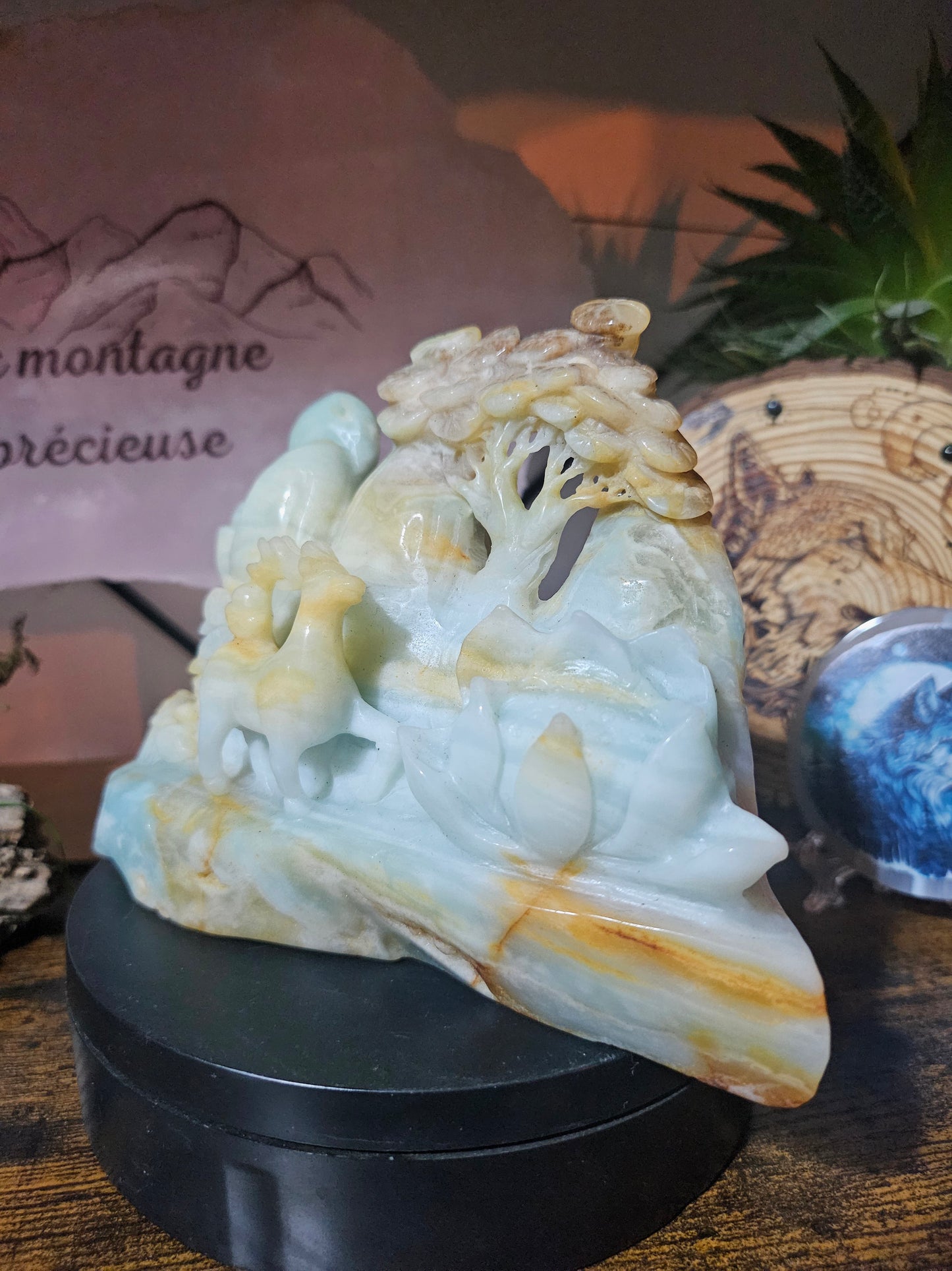 Cerfs en calcite des Caraïbes