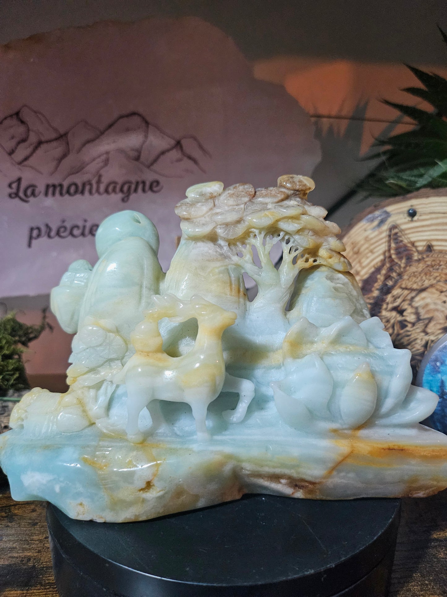 Cerfs en calcite des Caraïbes