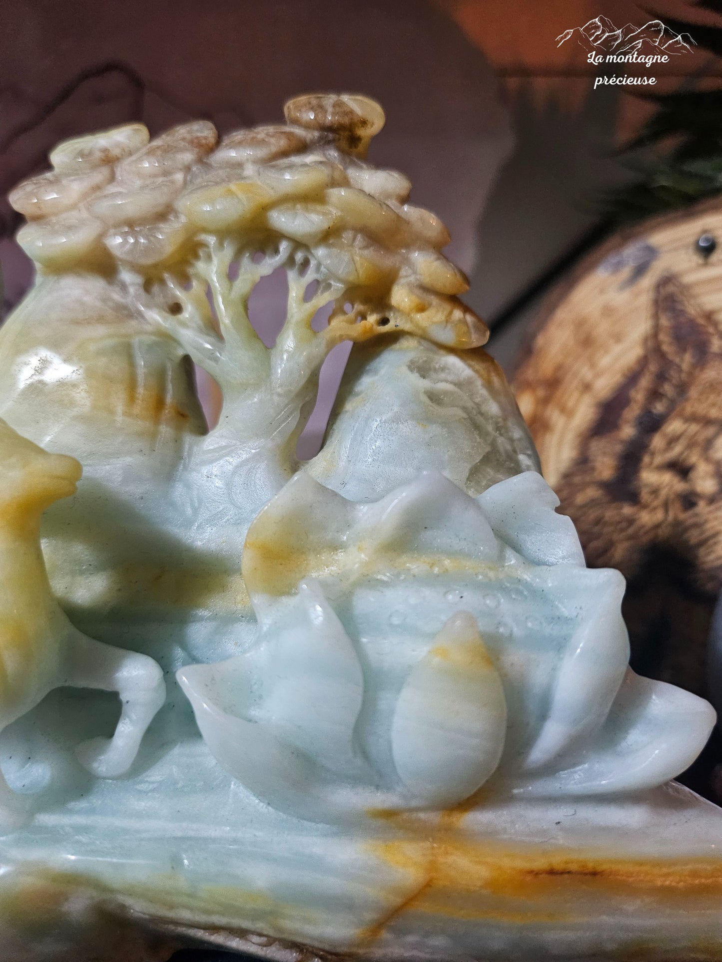 Cerfs en calcite des Caraïbes