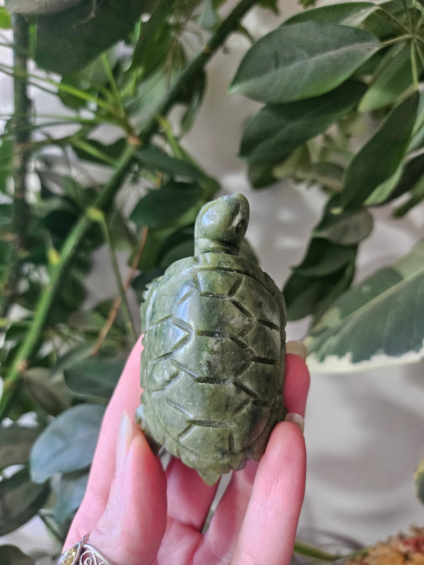 Tortue en Jade vert
