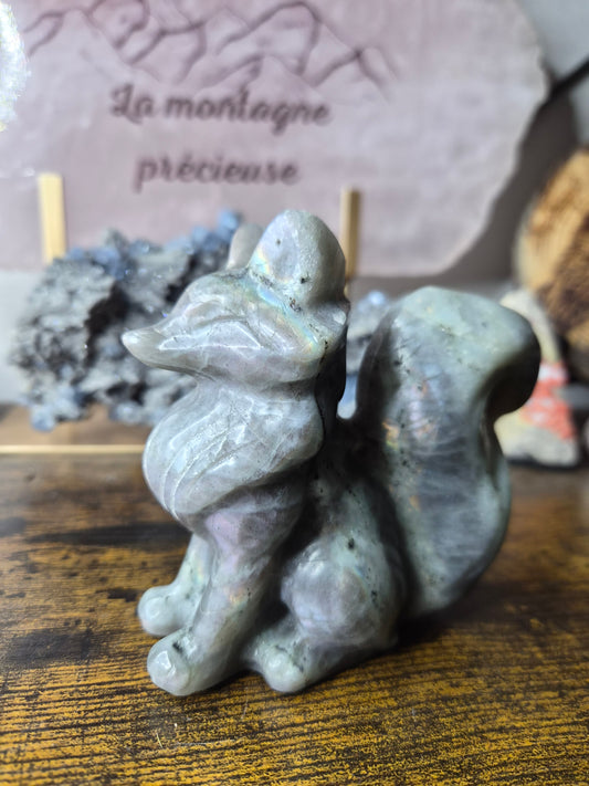 Renard en labradorite