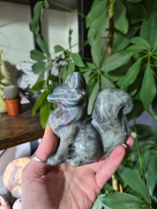 Renard en labradorite